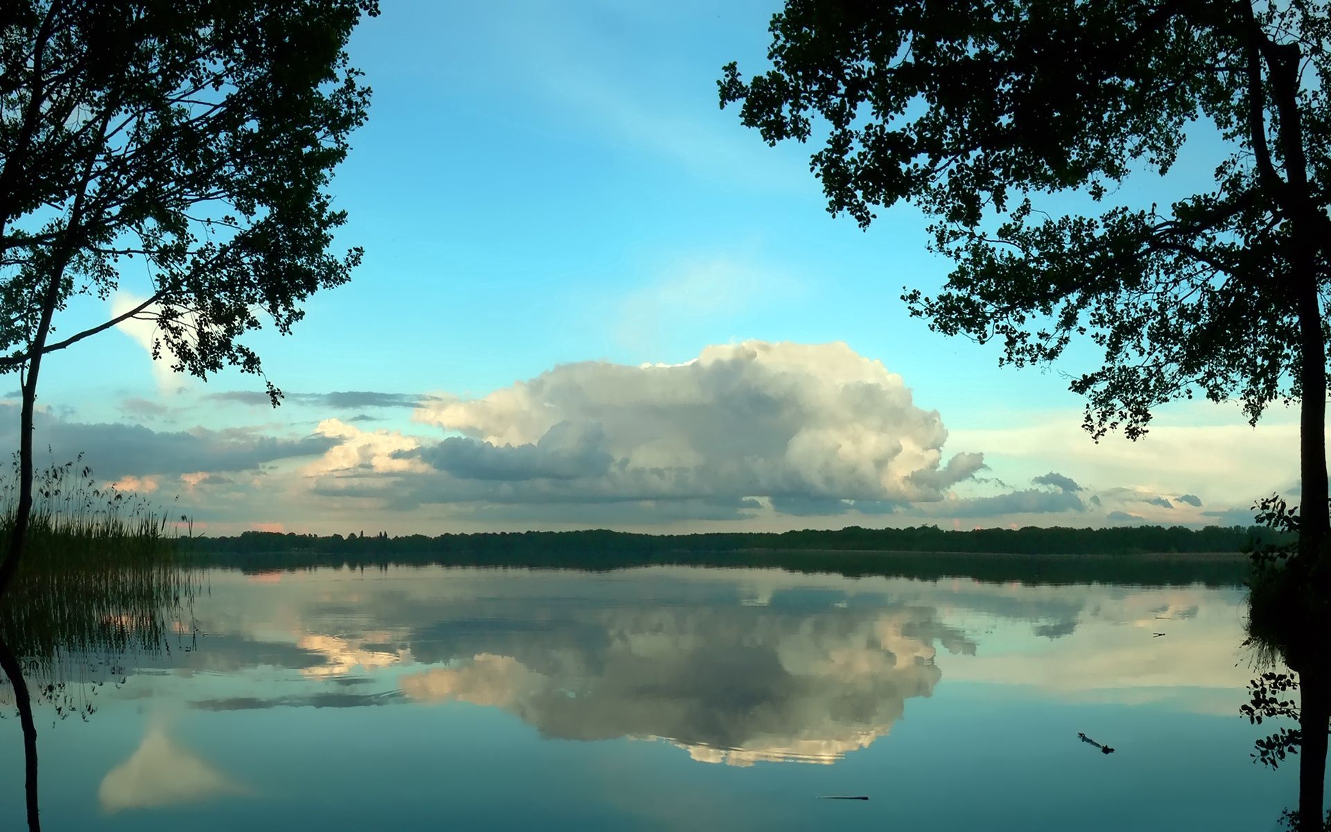 nature, trees, clouds, reflection, pond, volumetric, voluminous phone background