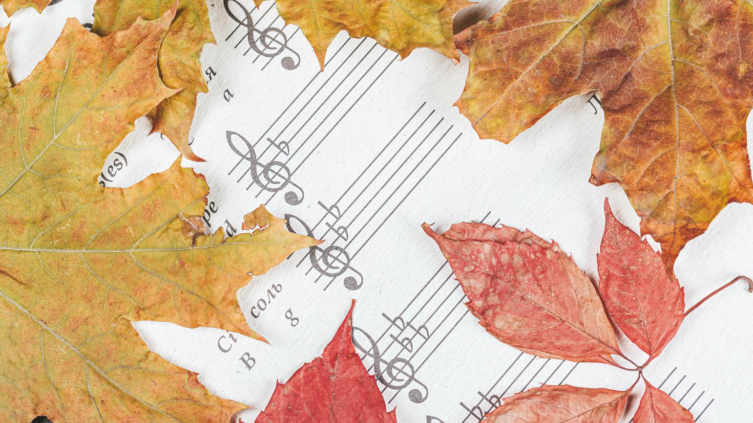 Лист песни ноты. Фон для презентации осень. Ноты фон. Фон осенних листьев. Красивый осенний фон с нотами.