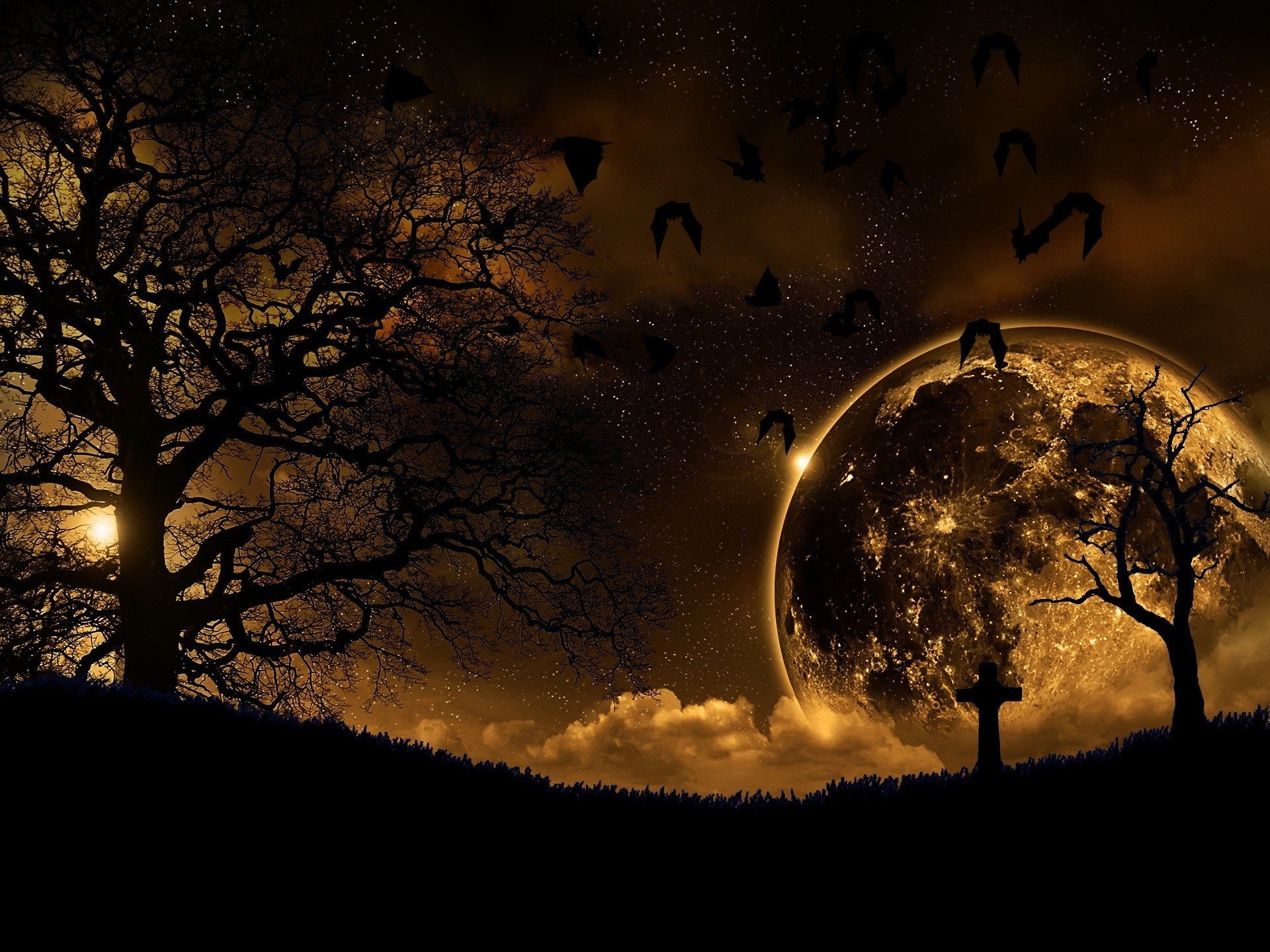 trees, dark, nature, planet, birds, landscape, night for android