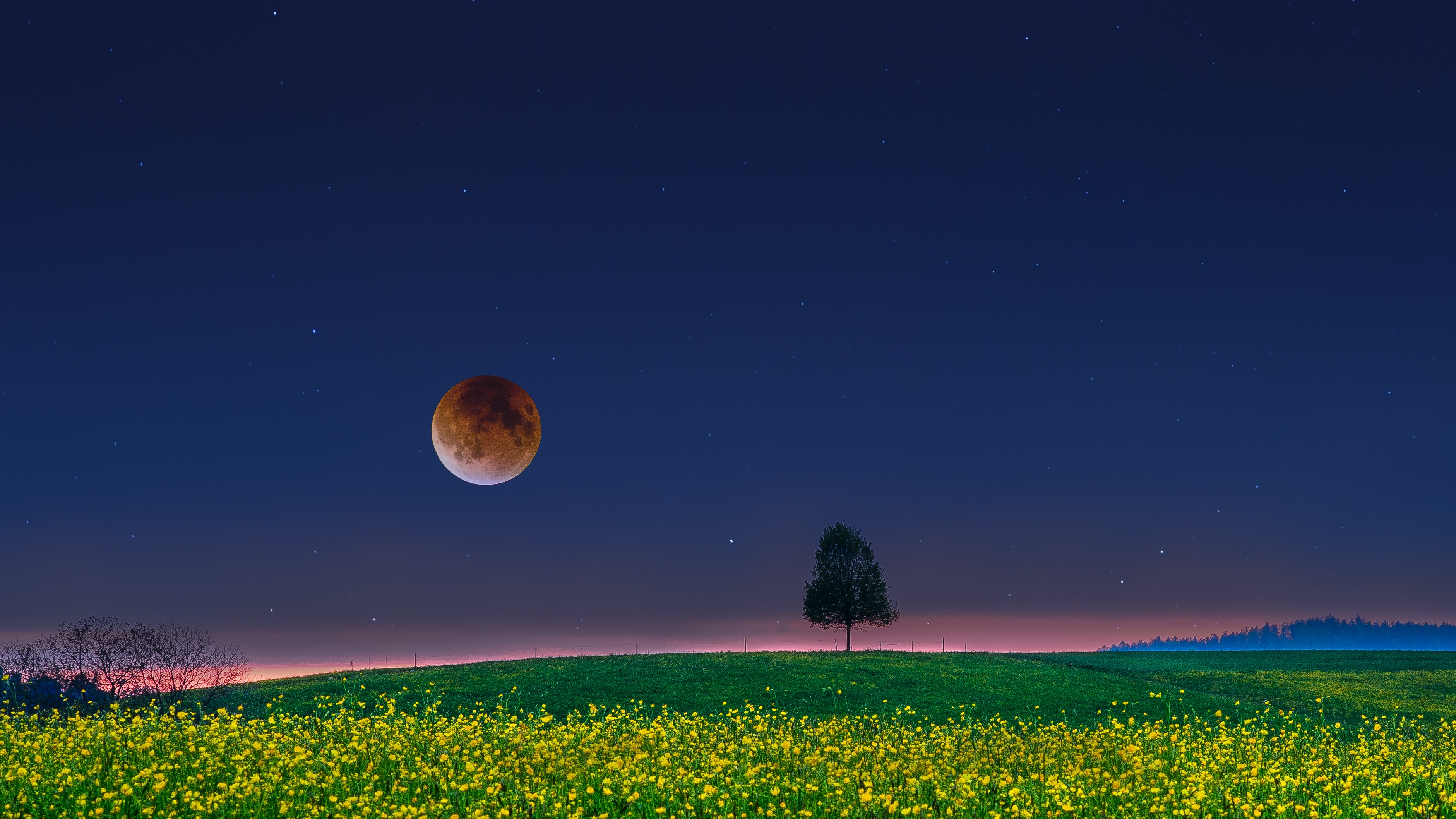 full moon, artistic, fantasy, field, lonely tree, moon, tree