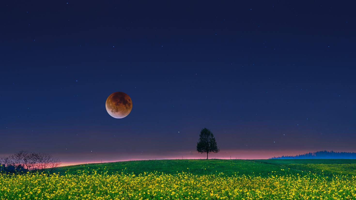 Луна над полями. Ночное поле. Летняя ночь. Лето ночи. Поле ночью.
