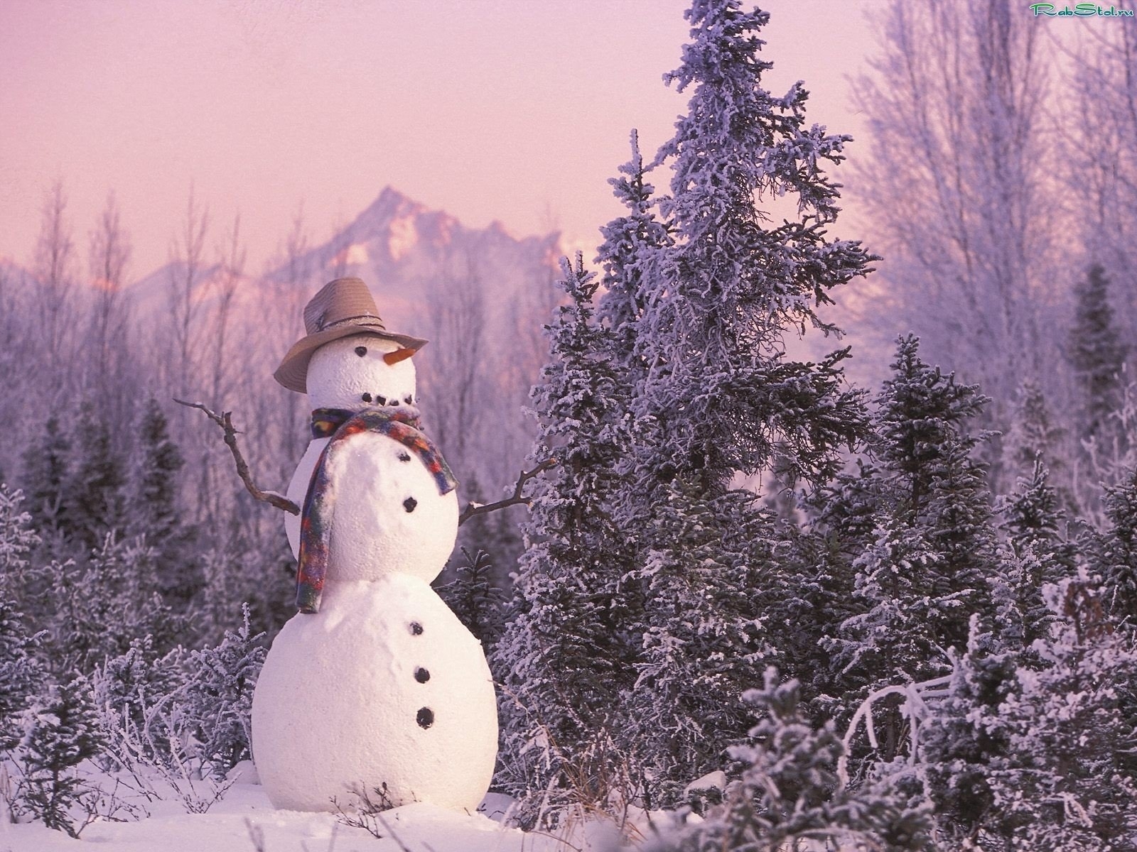 christmas xmas, winter, landscape, new year, snow, fir trees, snowman