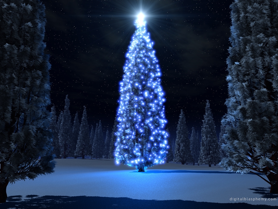 Download mobile wallpaper Fir Trees, Trees, New Year, Holidays, Christmas Xmas for free.