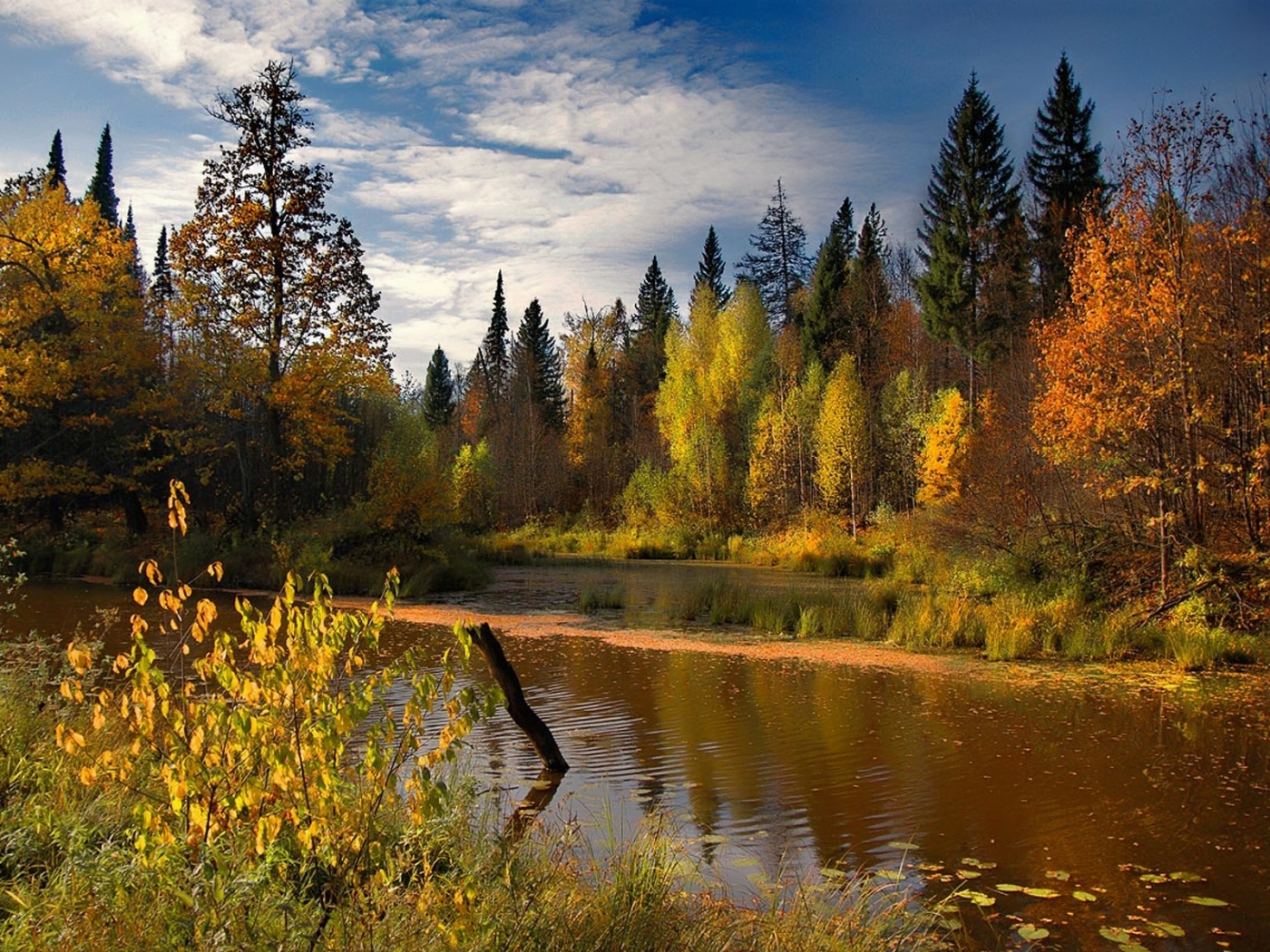 30216 descargar imagen paisaje, ríos, otoño: fondos de pantalla y protectores de pantalla gratis