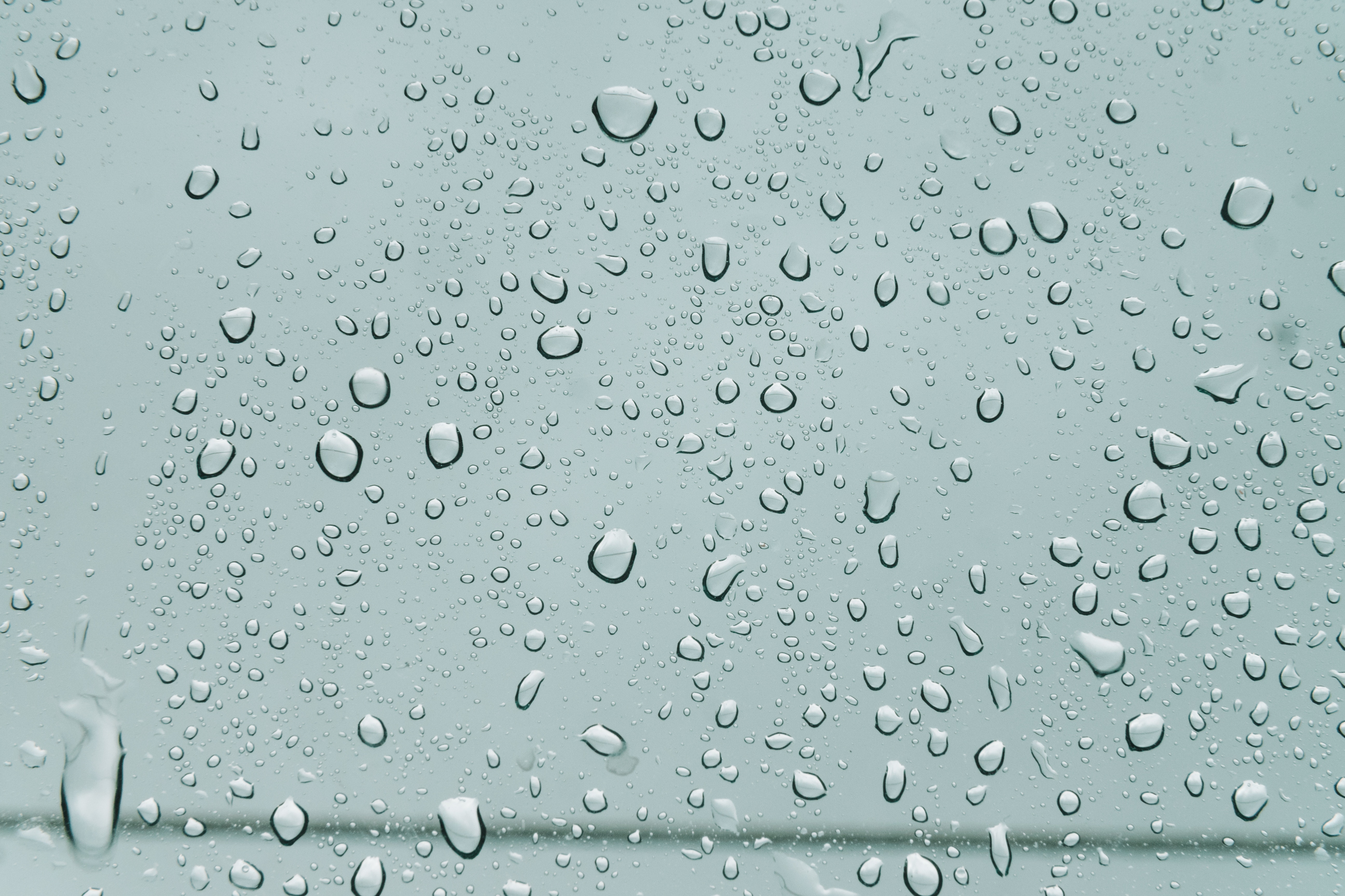 surface, form, forms, rain, drops, macro, wet, moisture, humid