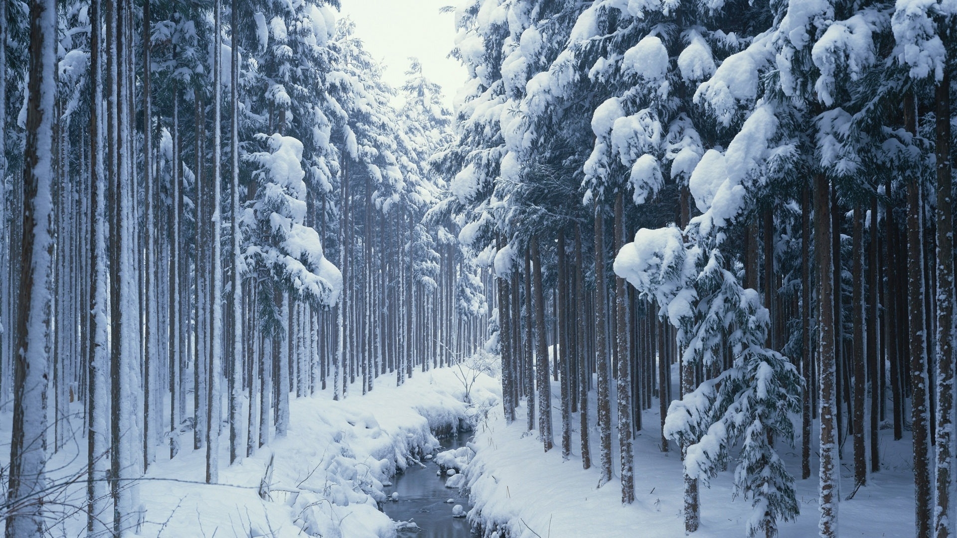 Download mobile wallpaper Snow, Winter, Landscape, Trees, Rivers for free.