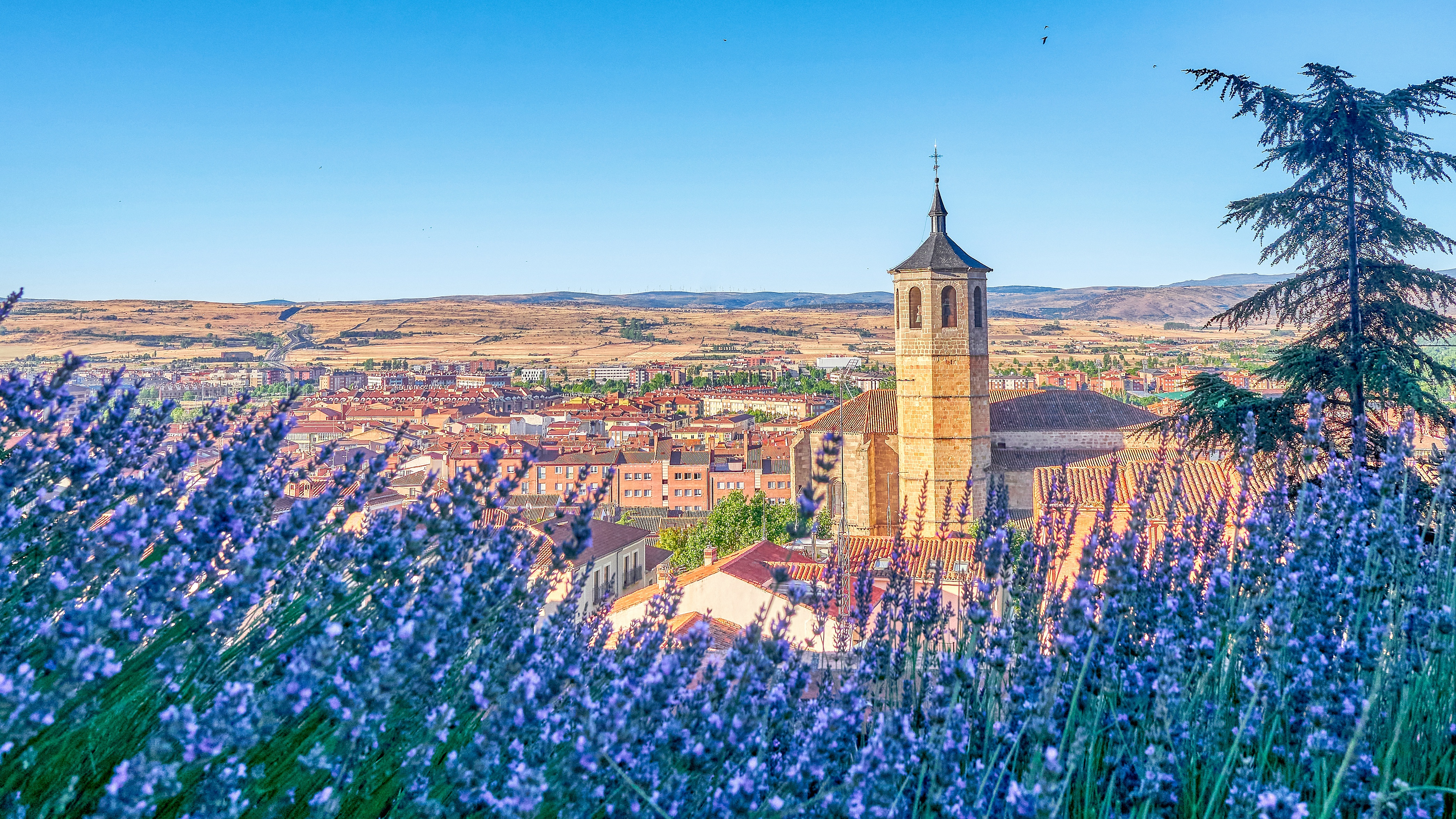 Mobile wallpaper religious, church, bell tower, building, flower, house, lavender, panorama, spain, tower, churches