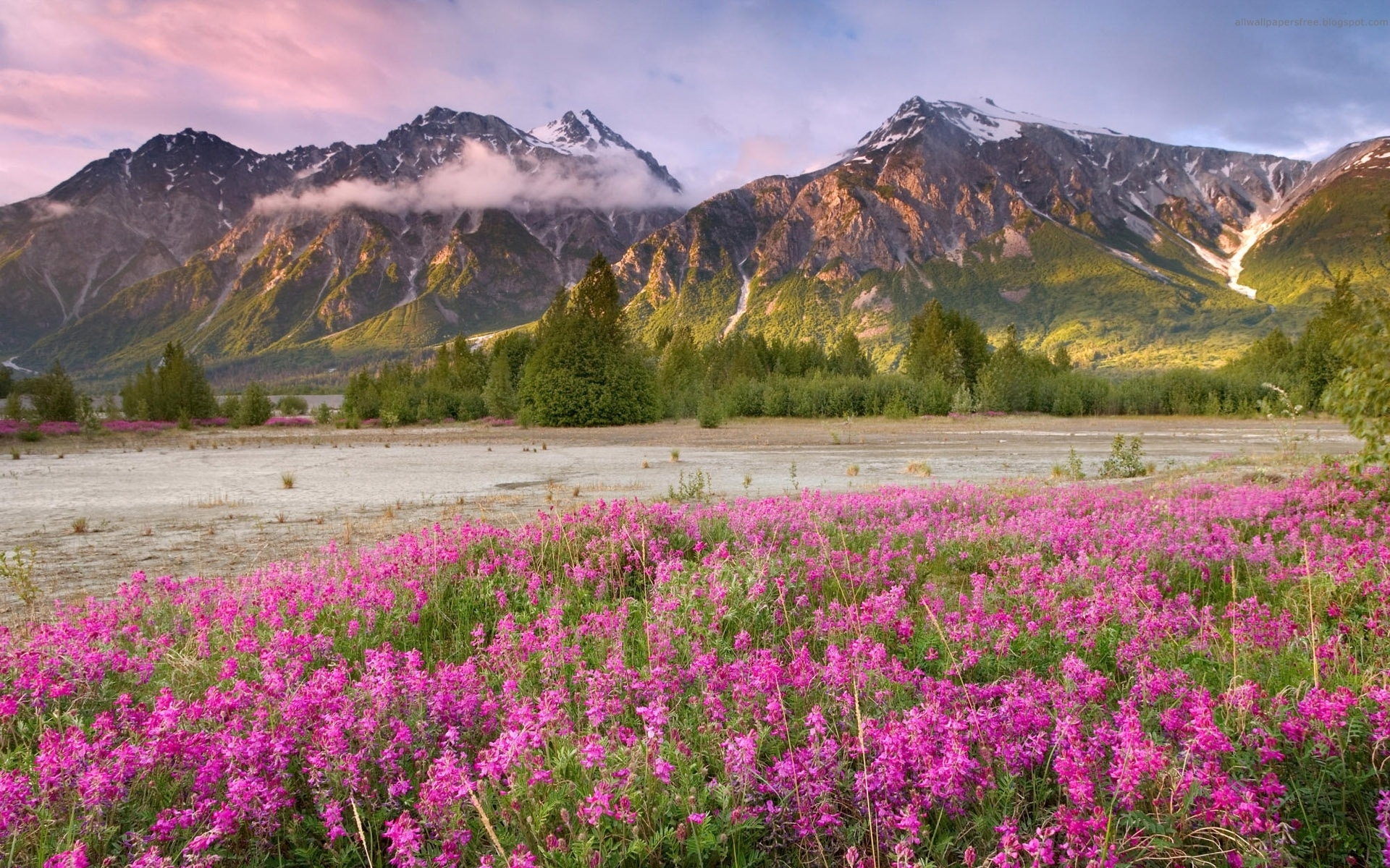 Download mobile wallpaper Flowers, Mountains, Landscape for free.