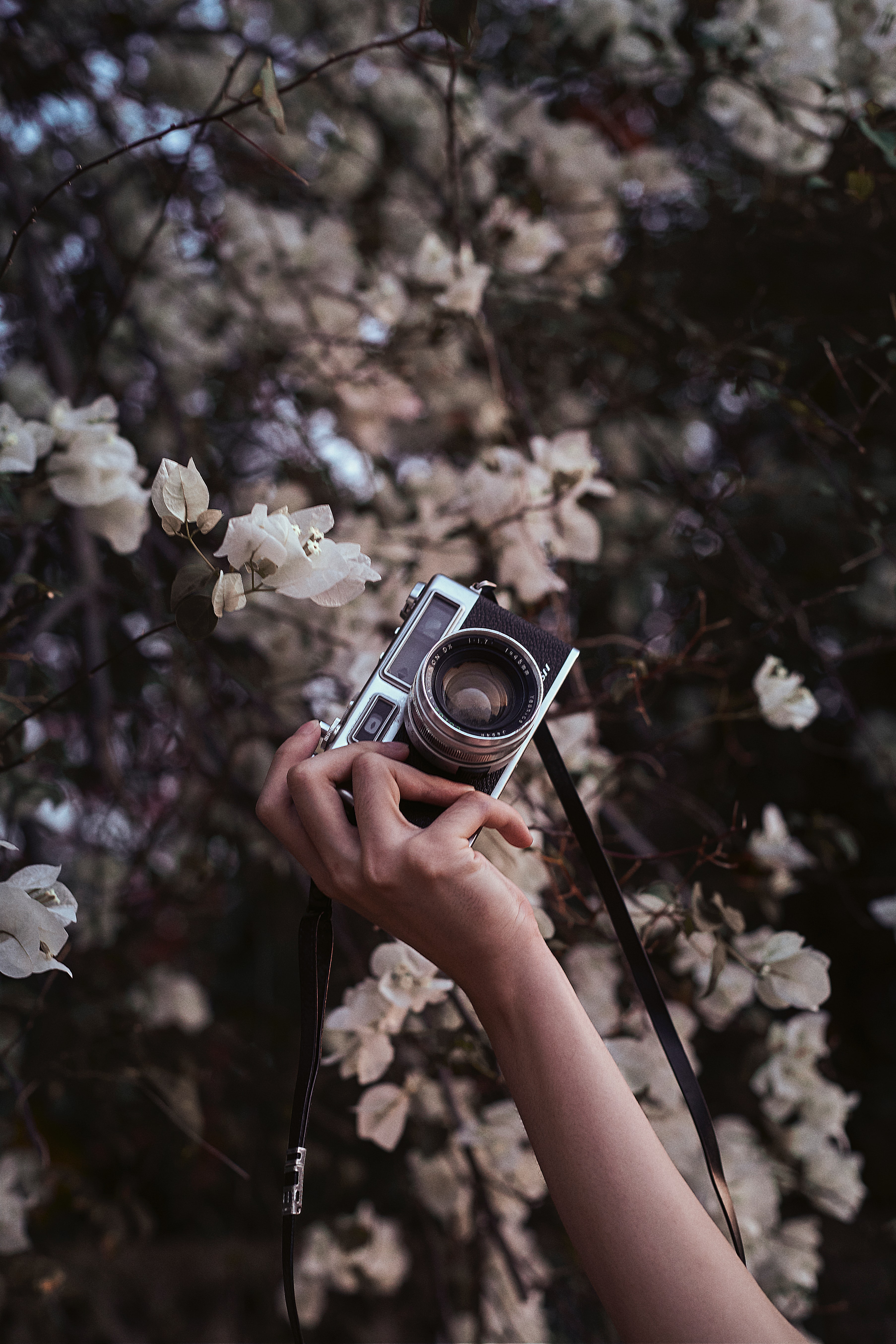 wallpapers camera, flowers, hand, miscellanea, miscellaneous, bloom, flowering, retro