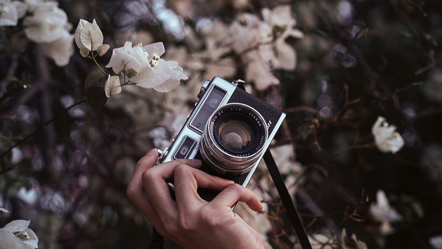 Ретро рука. Ретро с фотоаппаратом в руке. Цветы из фотоаппарата. Обои фотоаппарат Эстетика. Фотоаппарат в цветах картинки.