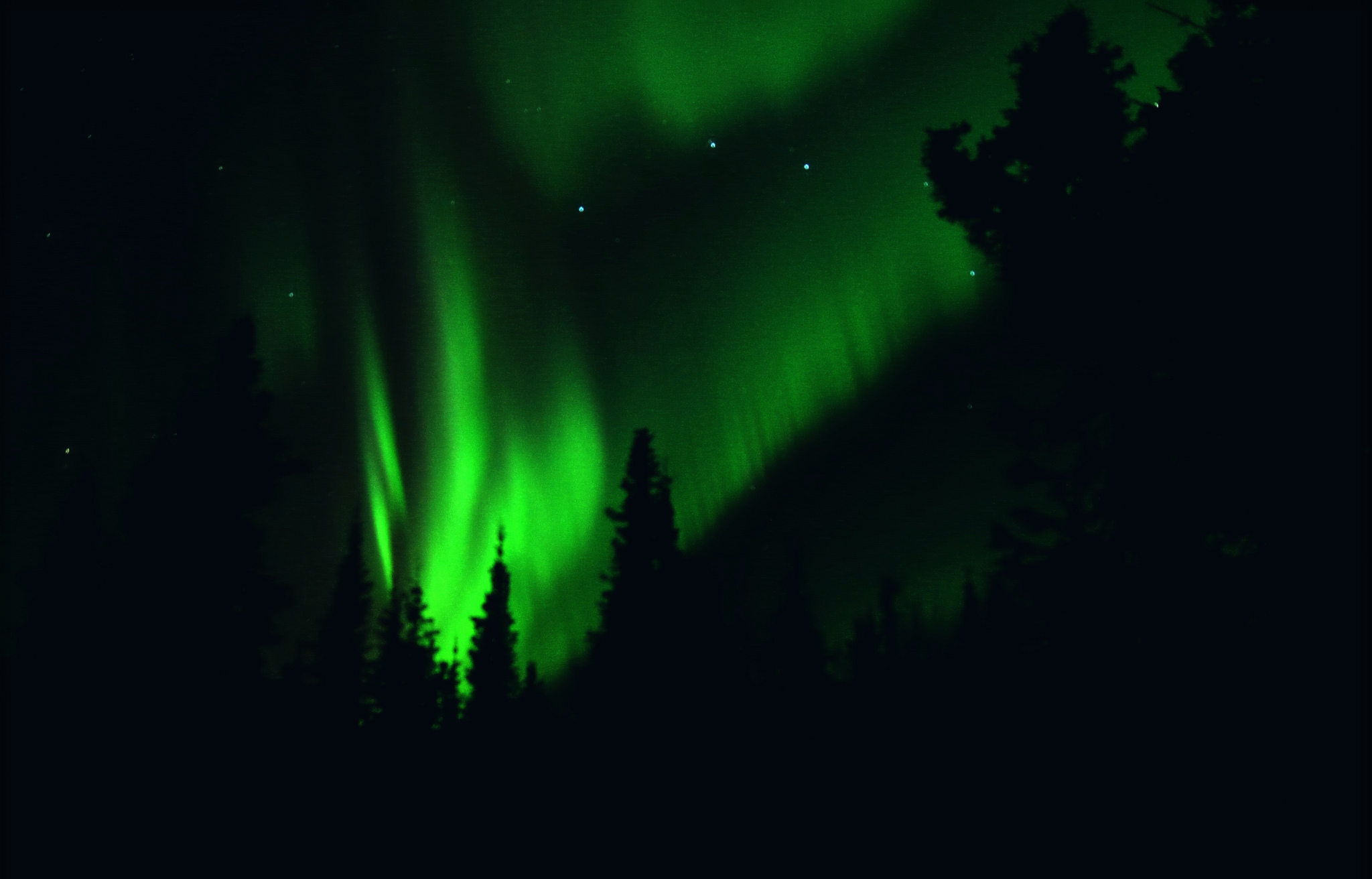 736544 Hintergrundbild herunterladen erde/natur, nordlicht, alaska, grün, licht, natur - Bildschirmschoner und Bilder kostenlos