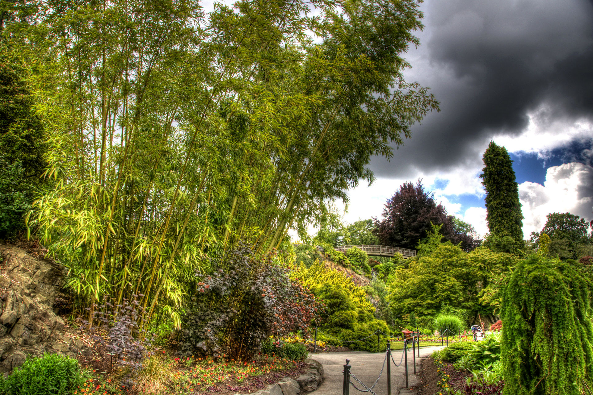 vancouver, photography, park, canada, city, hdr HD wallpaper