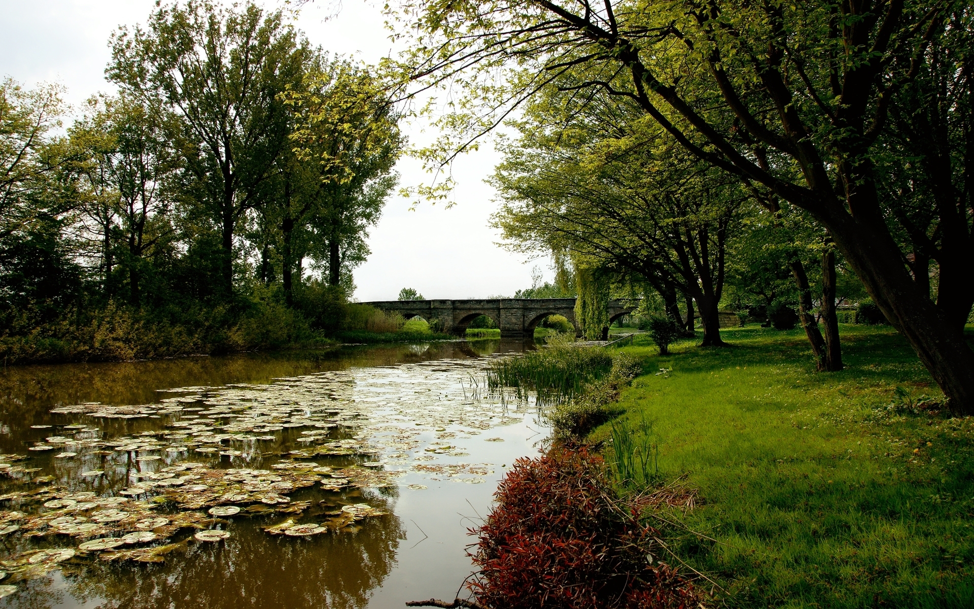 Download mobile wallpaper Rivers, Trees, Bridges, Grass, Landscape for free.