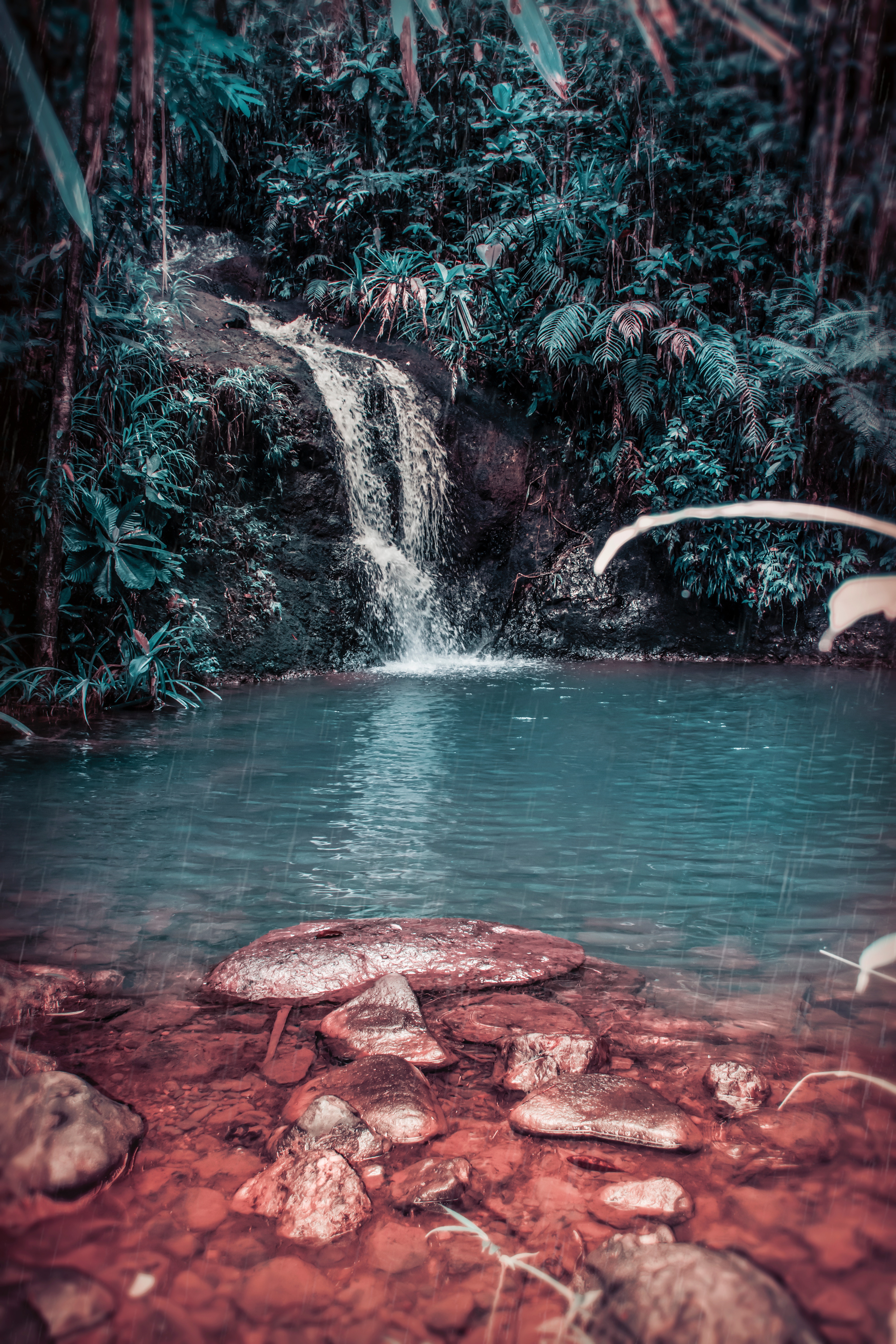 wallpapers waterfall, jungle, tropical, forest, stones, nature, spray, creek, brook