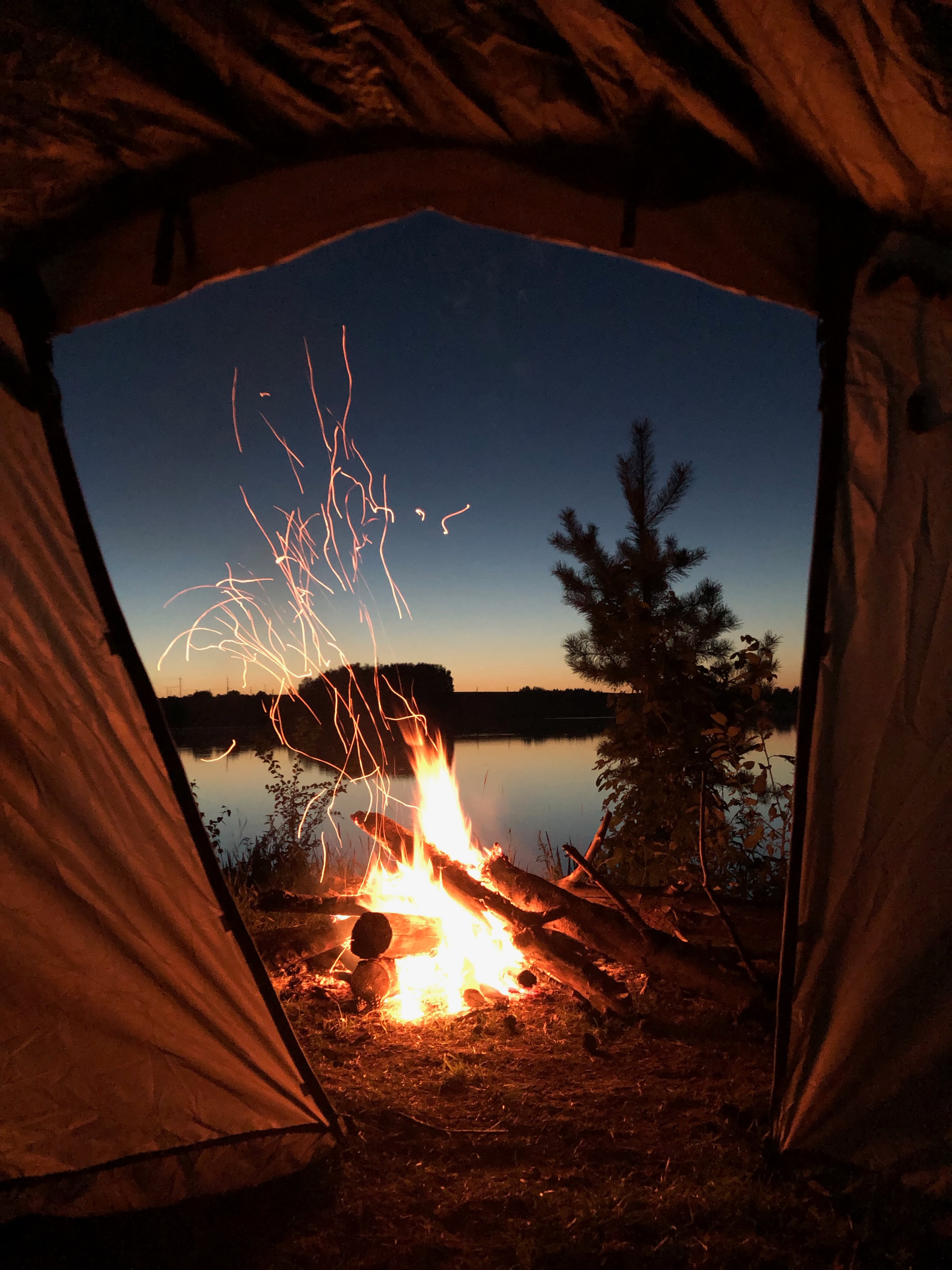 camping, bonfire, tent, campsite, night, nature Phone Background