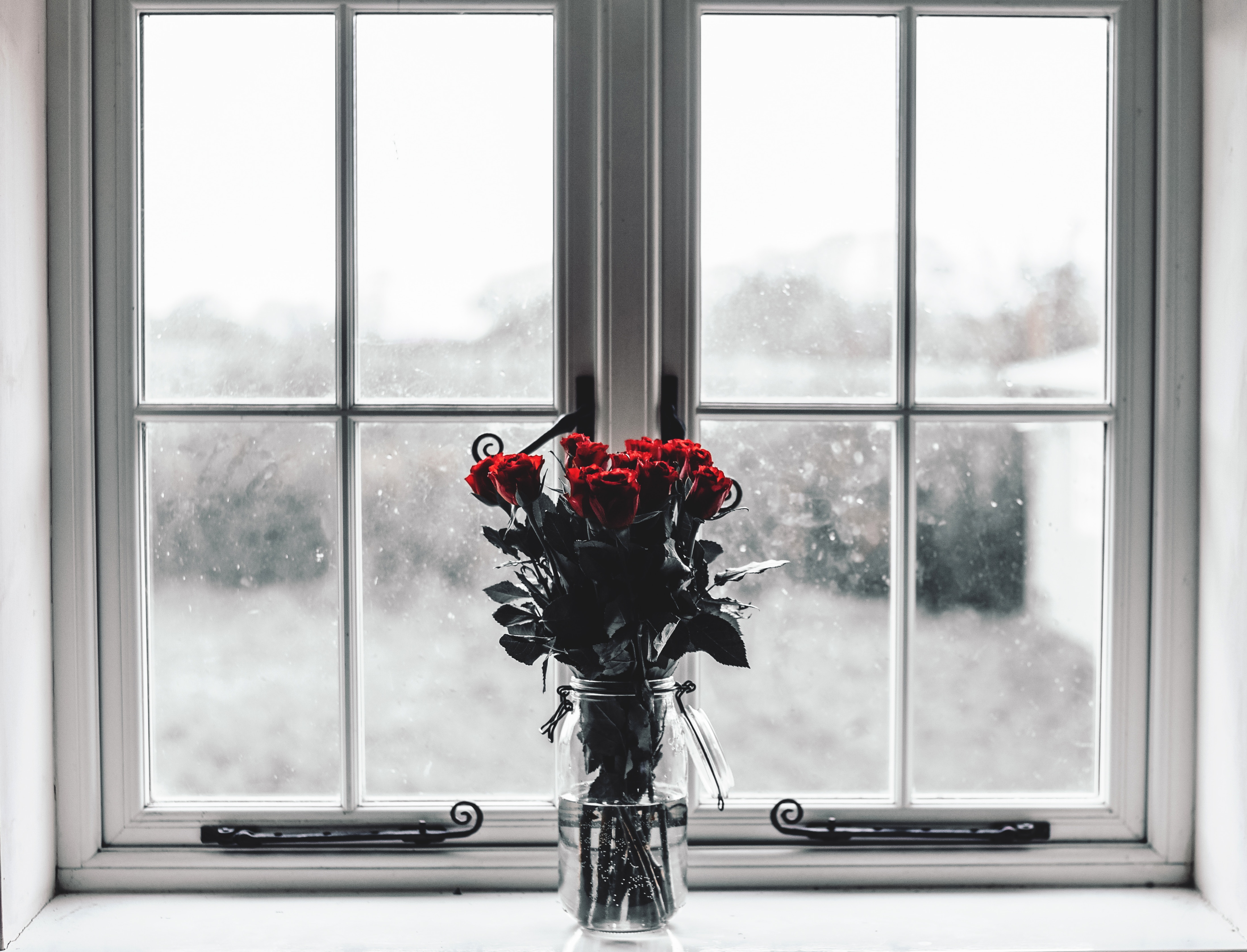 vase, roses, flowers, bouquet, window QHD