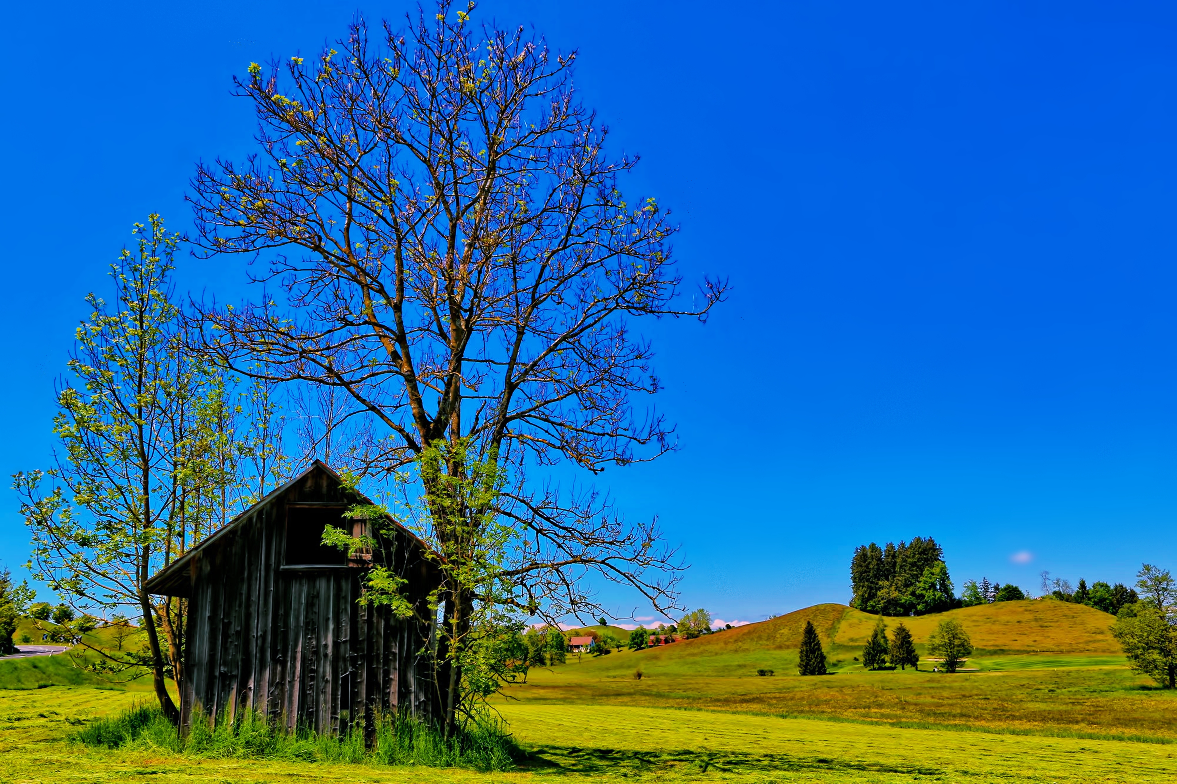 countryside, photography, landscape, earth, hill, nature, tree download HD wallpaper