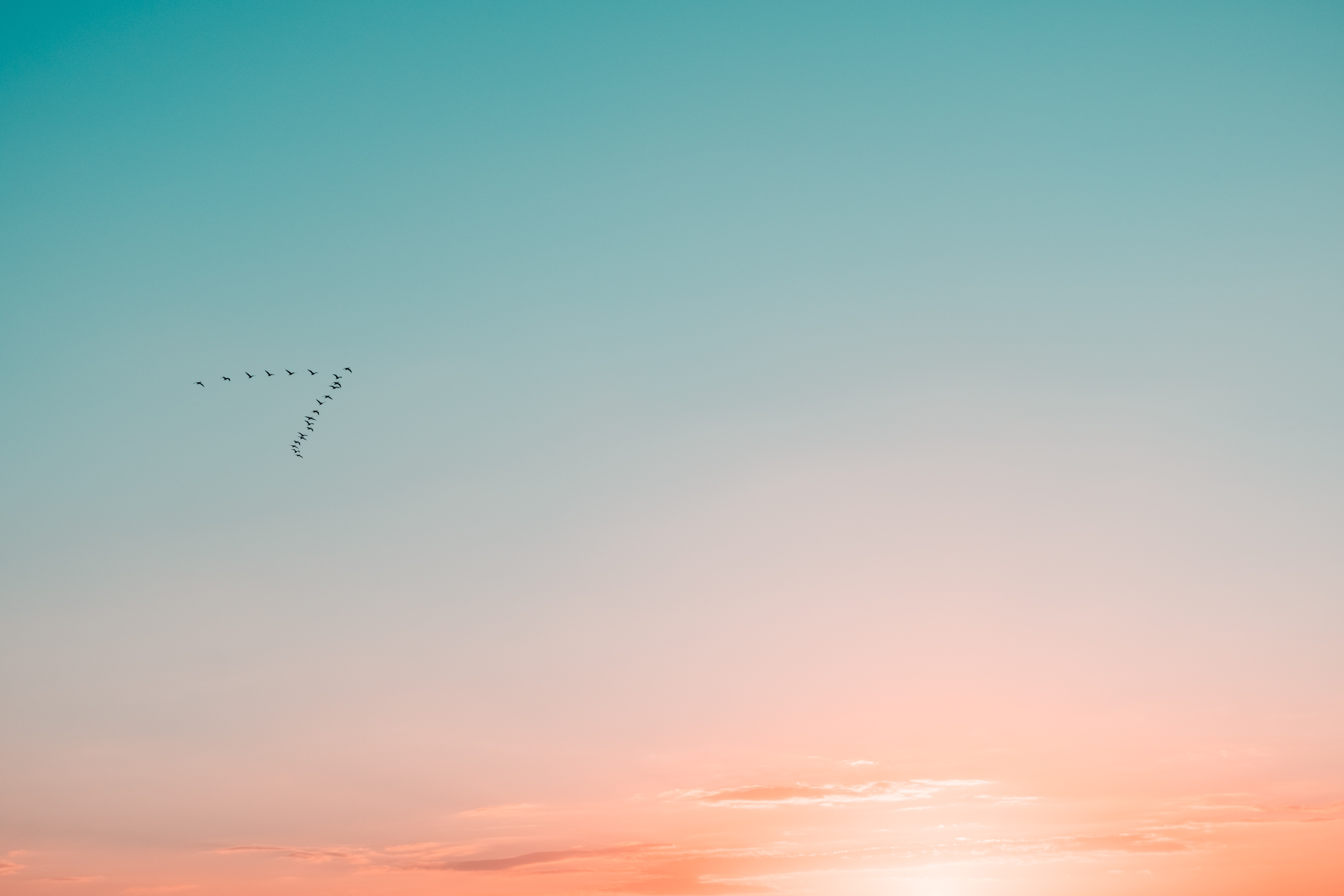 minimalism, gradient, birds, sky, silhouettes, flight