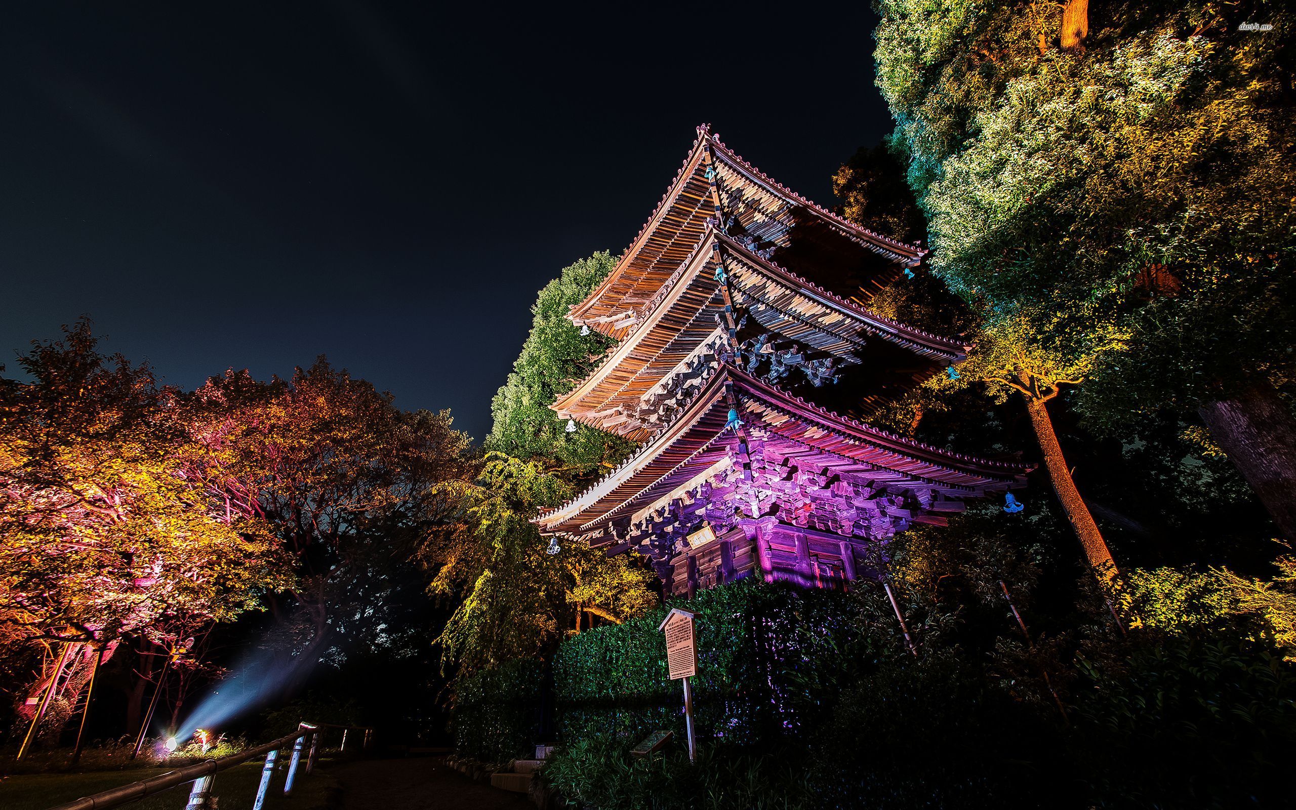 Обои tokyo. Япония парки пруд Osaka. Япония ночной Токио. Токио парк ночью. Япония Токио пейзаж.