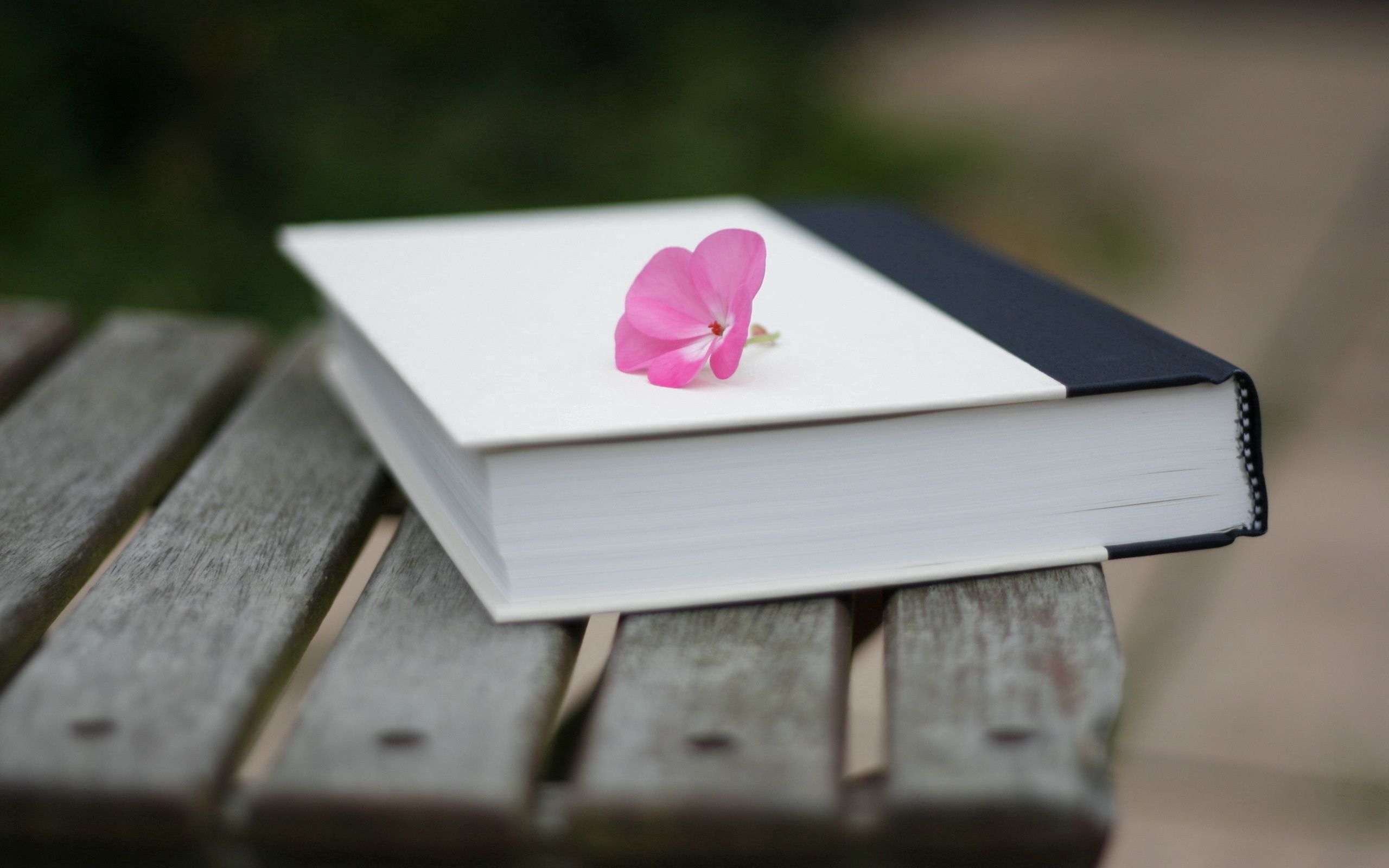 Download PC Wallpaper smooth, flower, miscellanea, miscellaneous, blur, book, bench, handsomely, it's beautiful