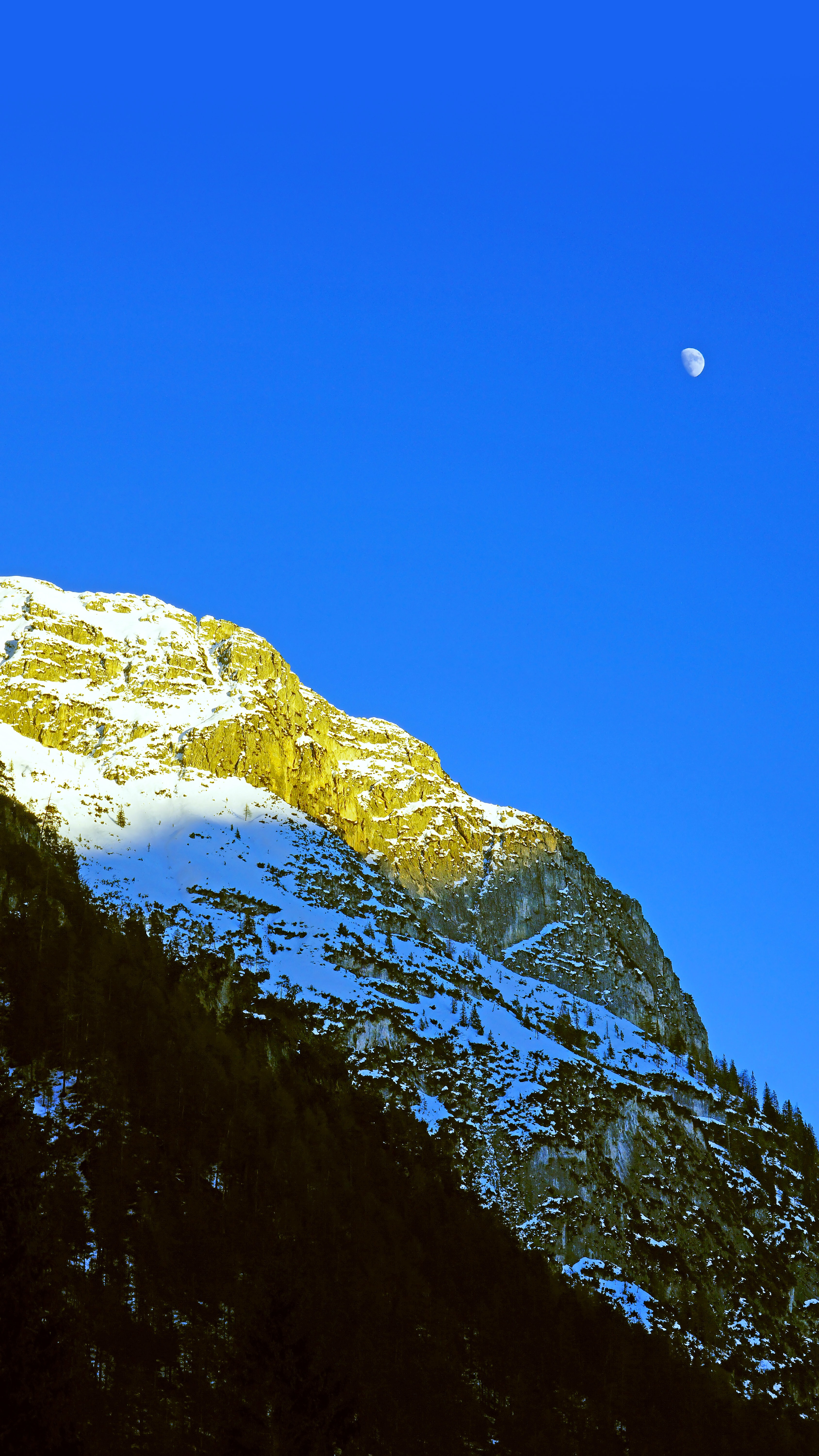 Download mobile wallpaper Rocks, Snow Covered, Snowbound, Trees, Mountains, Nature, Moon for free.