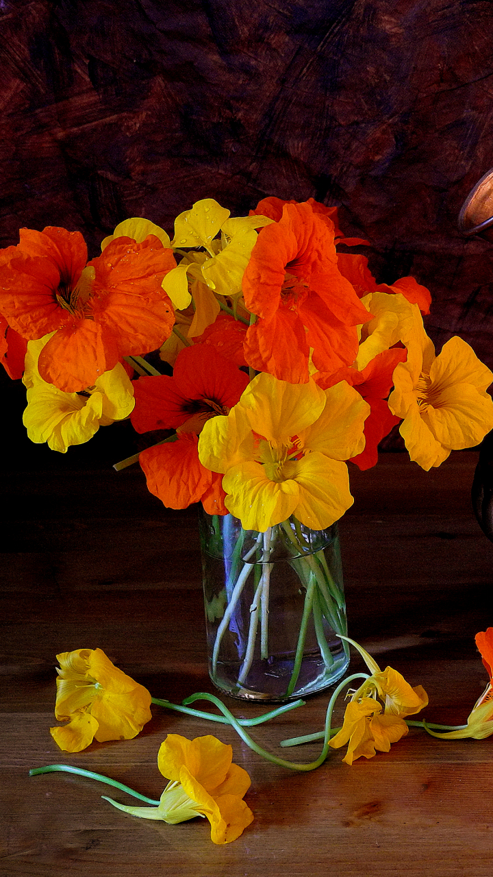 1266254壁紙のダウンロード写真撮影, 静物, ピッチャー, 花, オレンジフラワー, 黄色い花, ブロンズ-スクリーンセーバーと写真を無料で