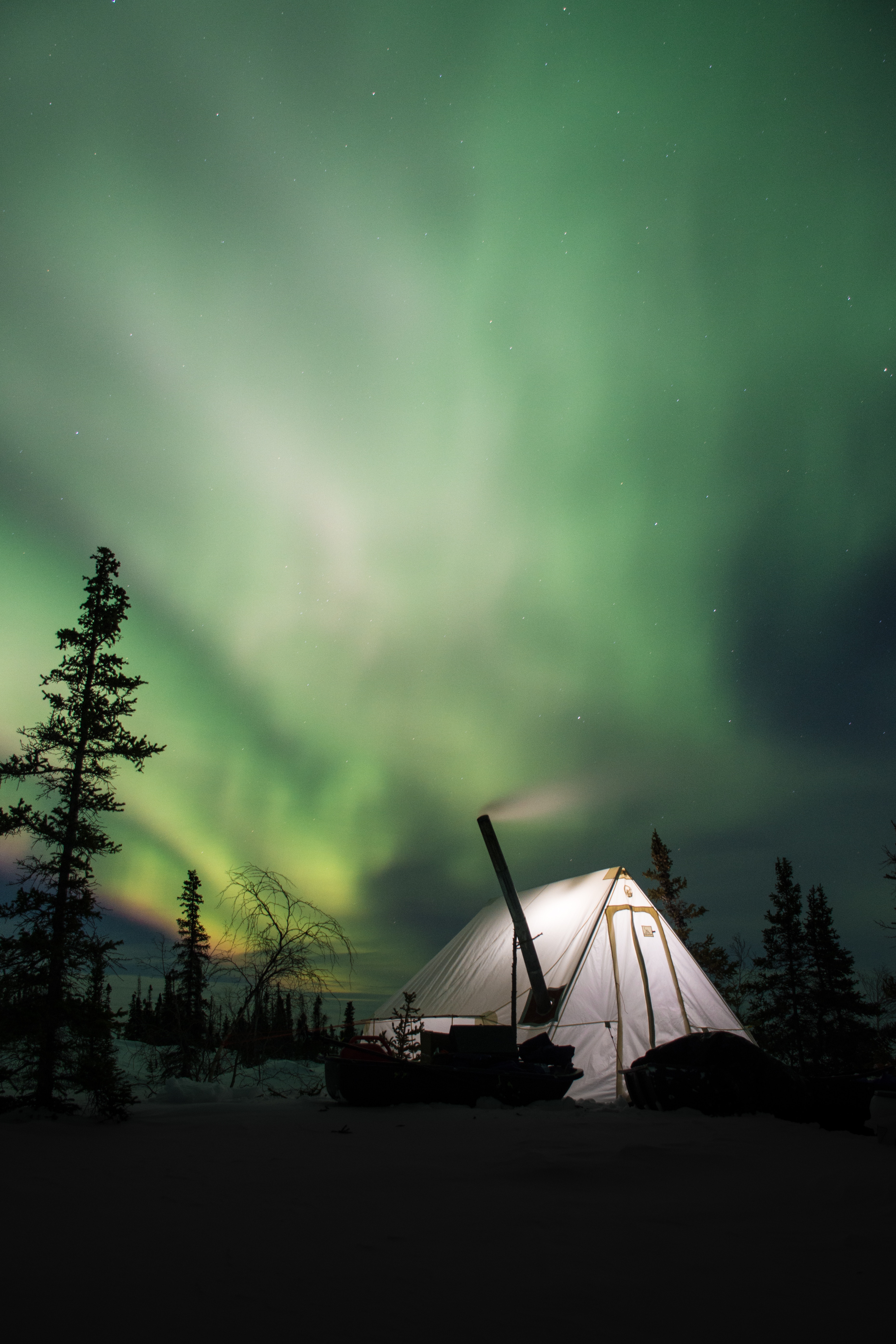 campsite, nature, night, northern lights, aurora borealis, aurora, tent, camping