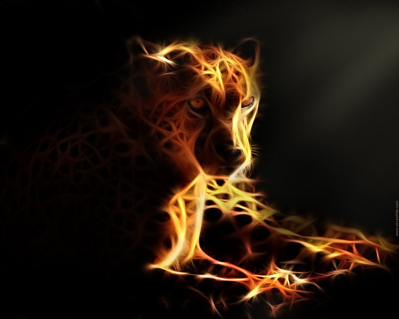 Cool cheetah jaguar leopard screen HD phone wallpaper  Peakpx