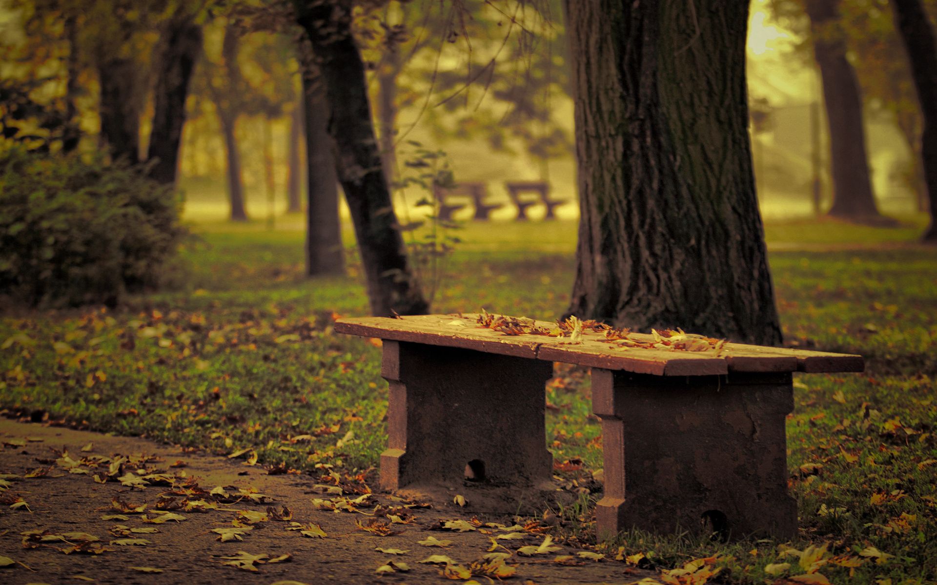 Download mobile wallpaper Autumn, Trees, Bench, Nature, Park, Leaves, Loneliness for free.