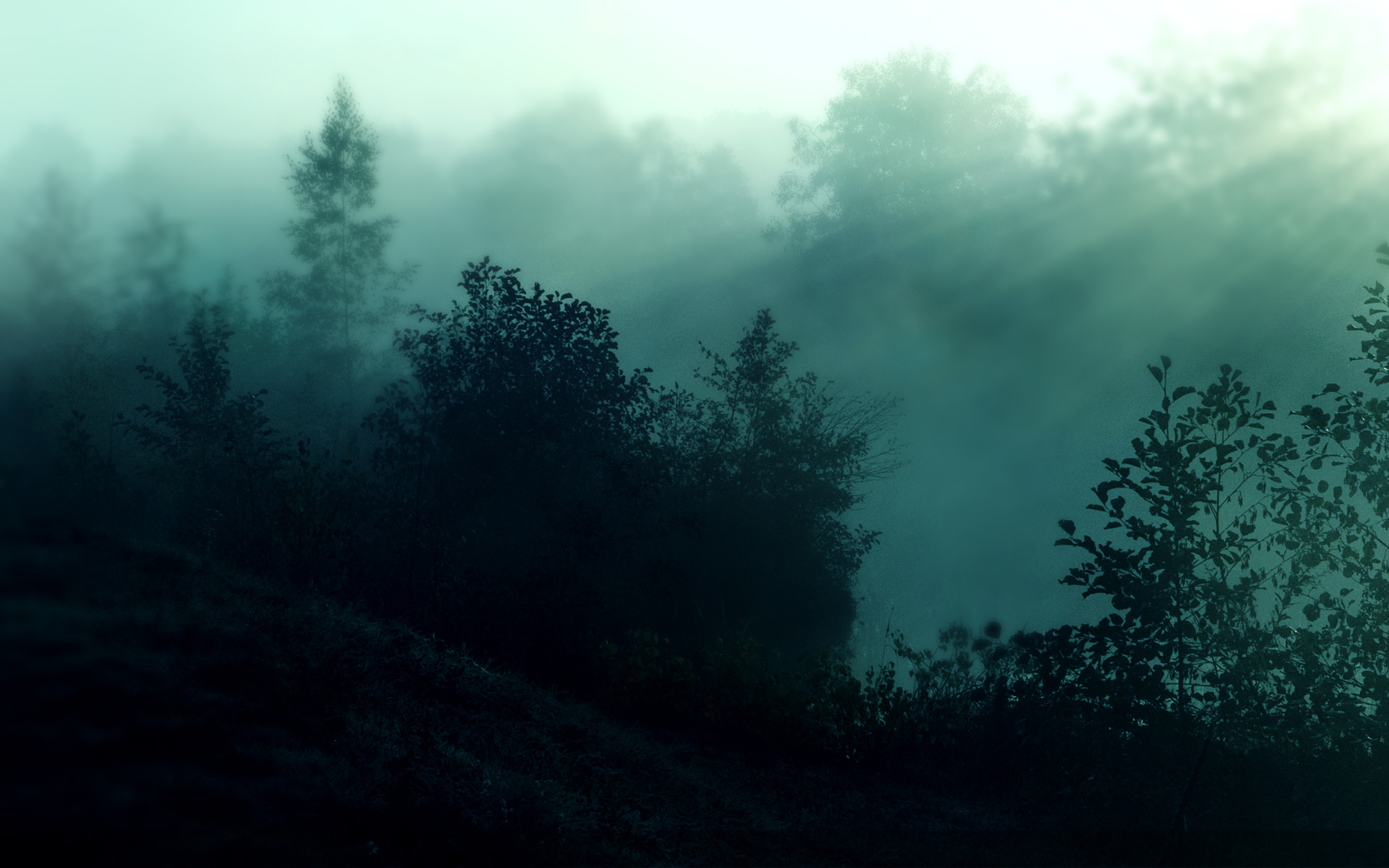 Атмосферные стоки. Атмосферный фон. Природа туман. Туманный лес. Мрачный фон.