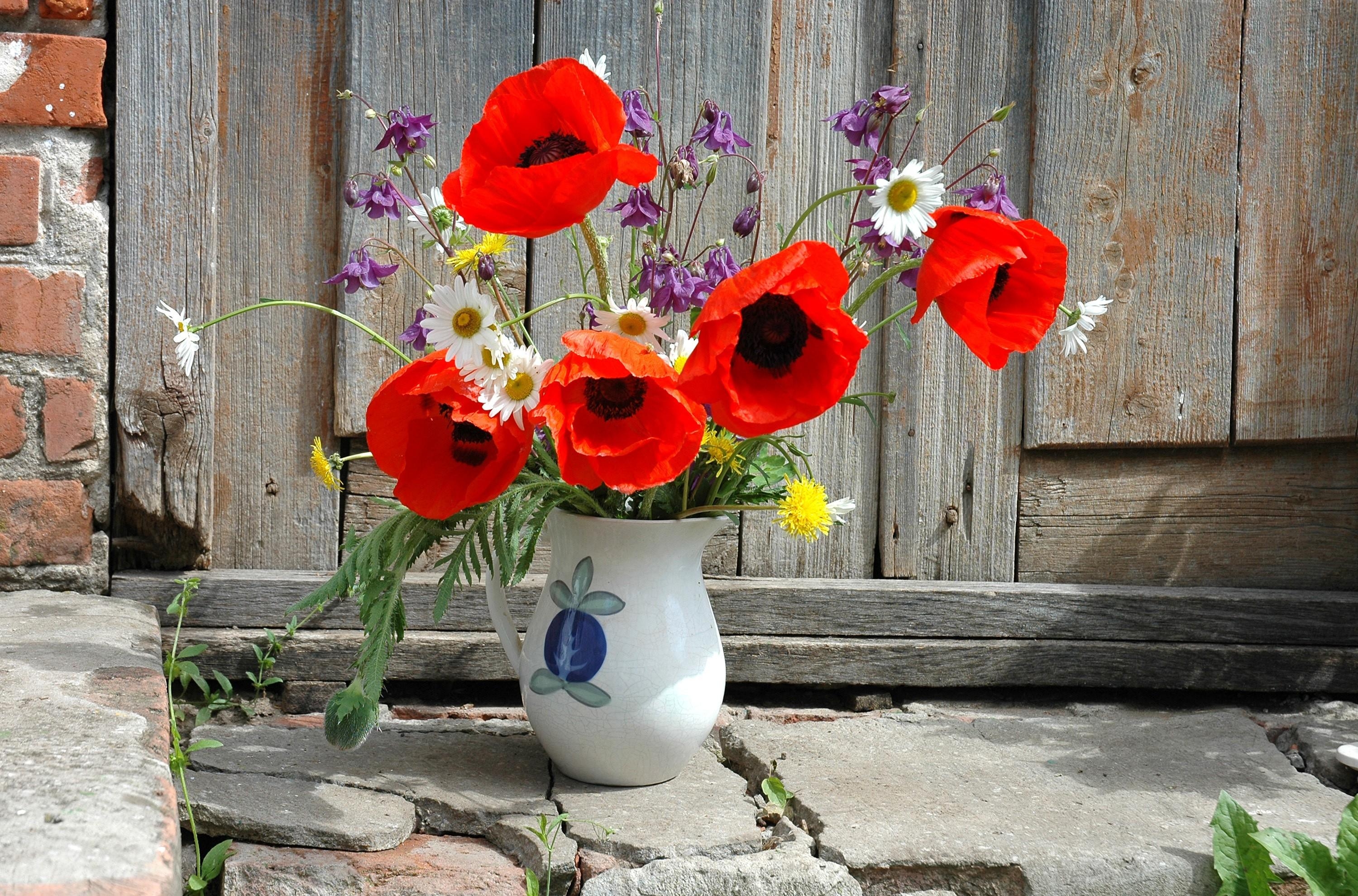 Download mobile wallpaper Bouquet, Camomile, Jug, Field, Flowers, Dandelions, Poppies for free.