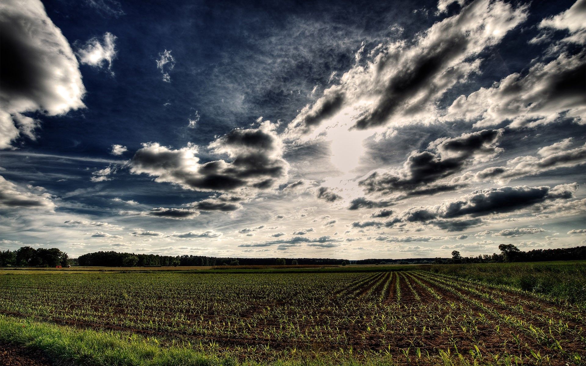 nature, sky, clouds, field, hdr, rows, ranks, arable land