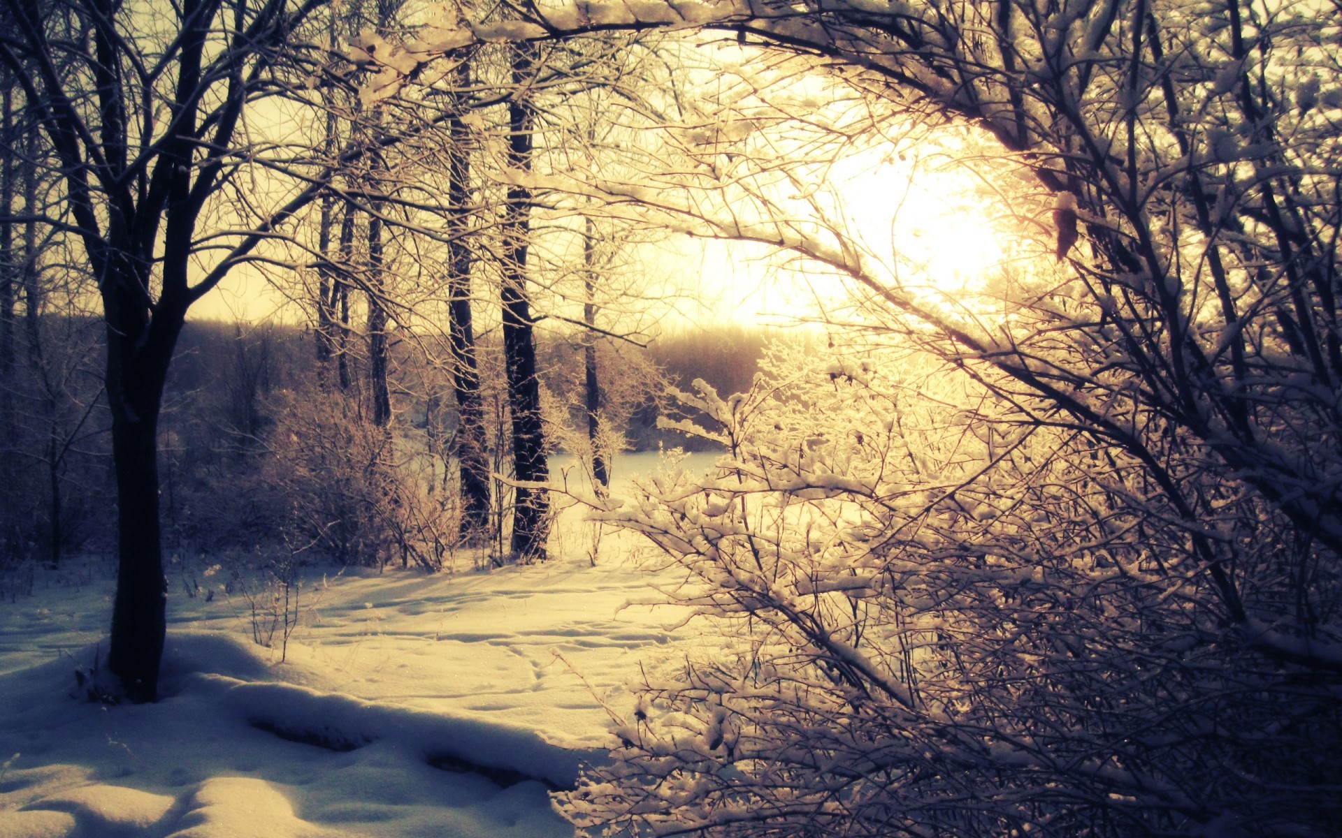 Скачать обои бесплатно Снег, Деревья, Закат, Пейзаж, Зима картинка на рабочий стол ПК