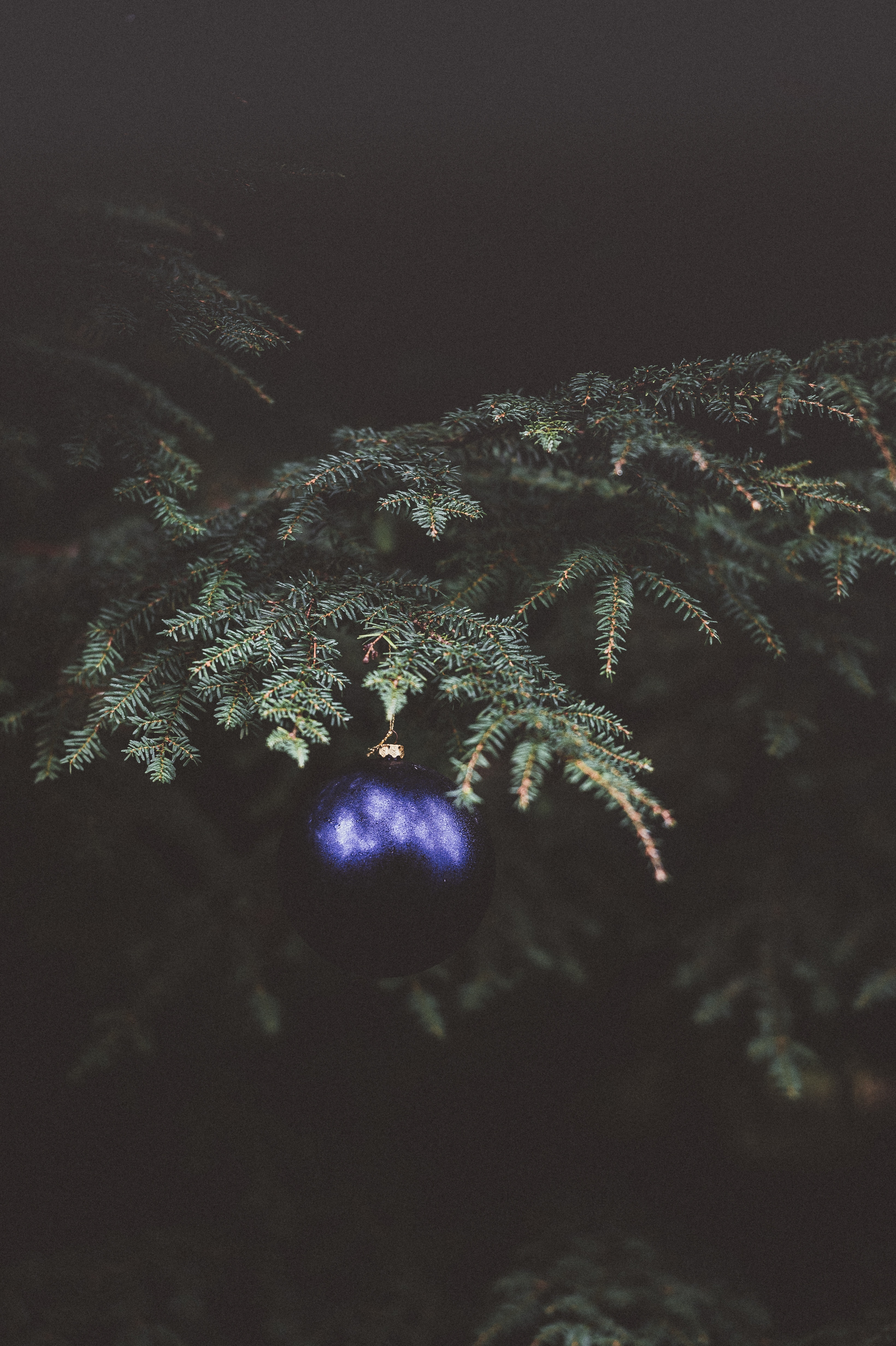 Download mobile wallpaper Spruce, Fir, Christmas Tree Toy, Holidays, Branch, Dark for free.