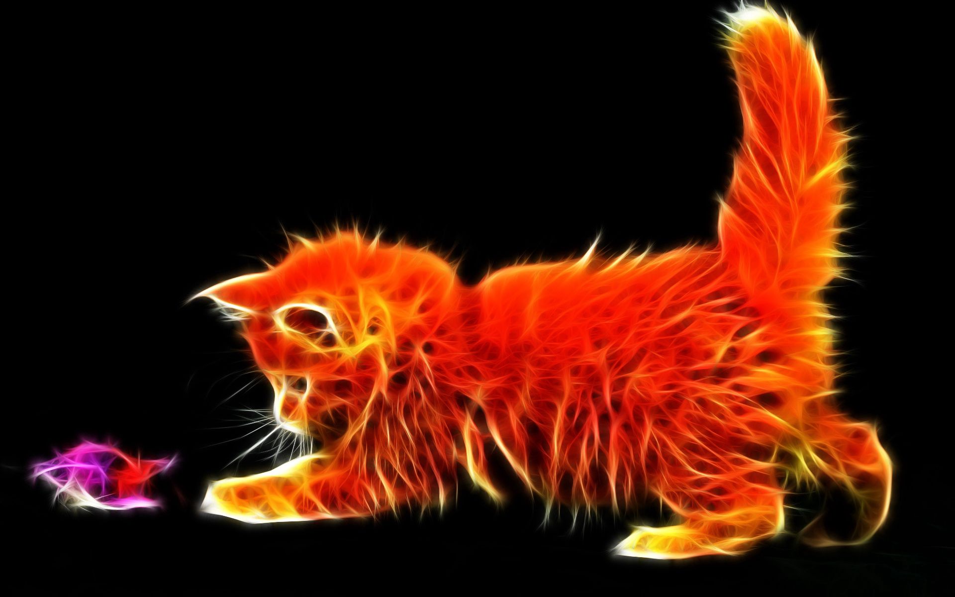 Огненная кошка