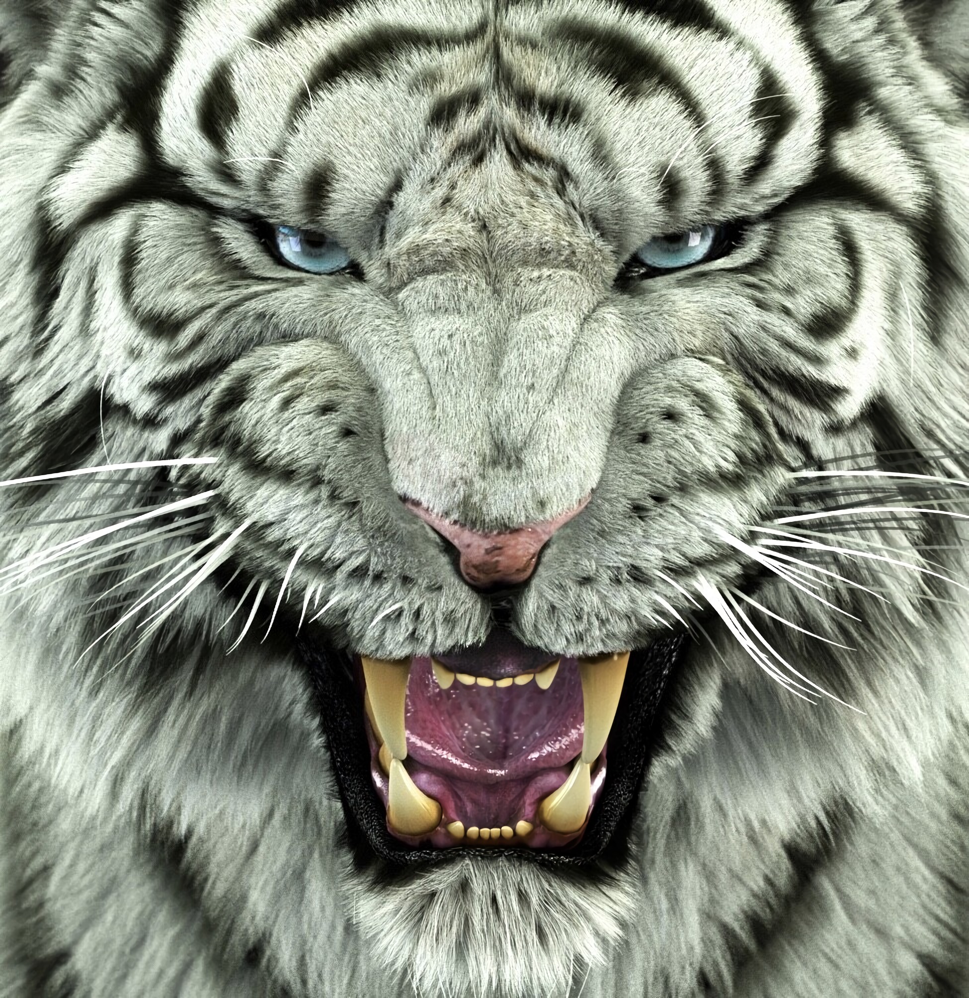 predator, tiger, bengal tiger, animals, big cat