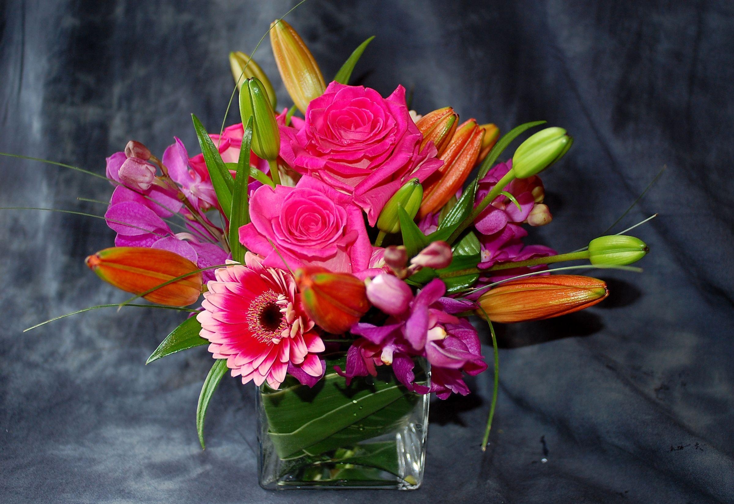 roses, orchids, flowers, gerberas, buds, composition images