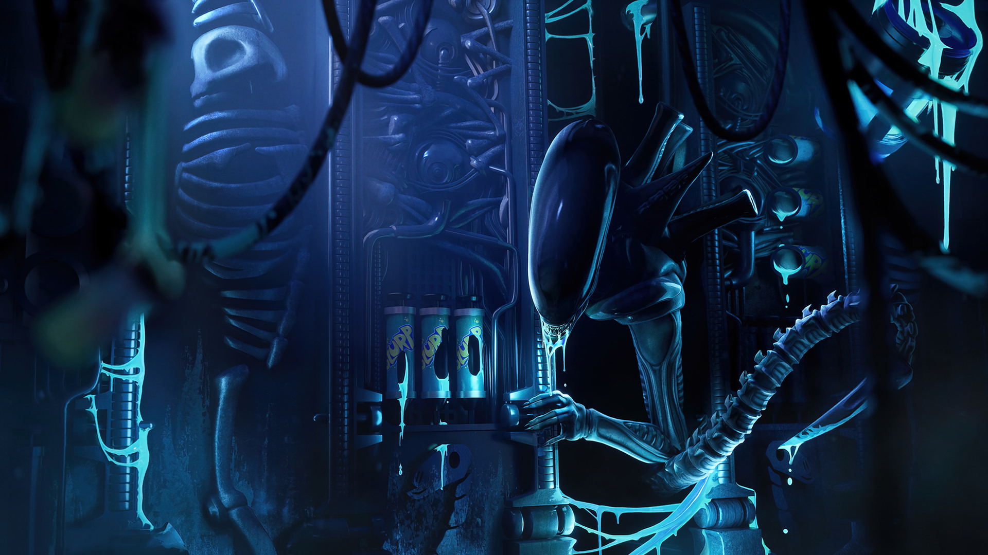 Predator Alien Xenomorph 4K Wallpaper #60