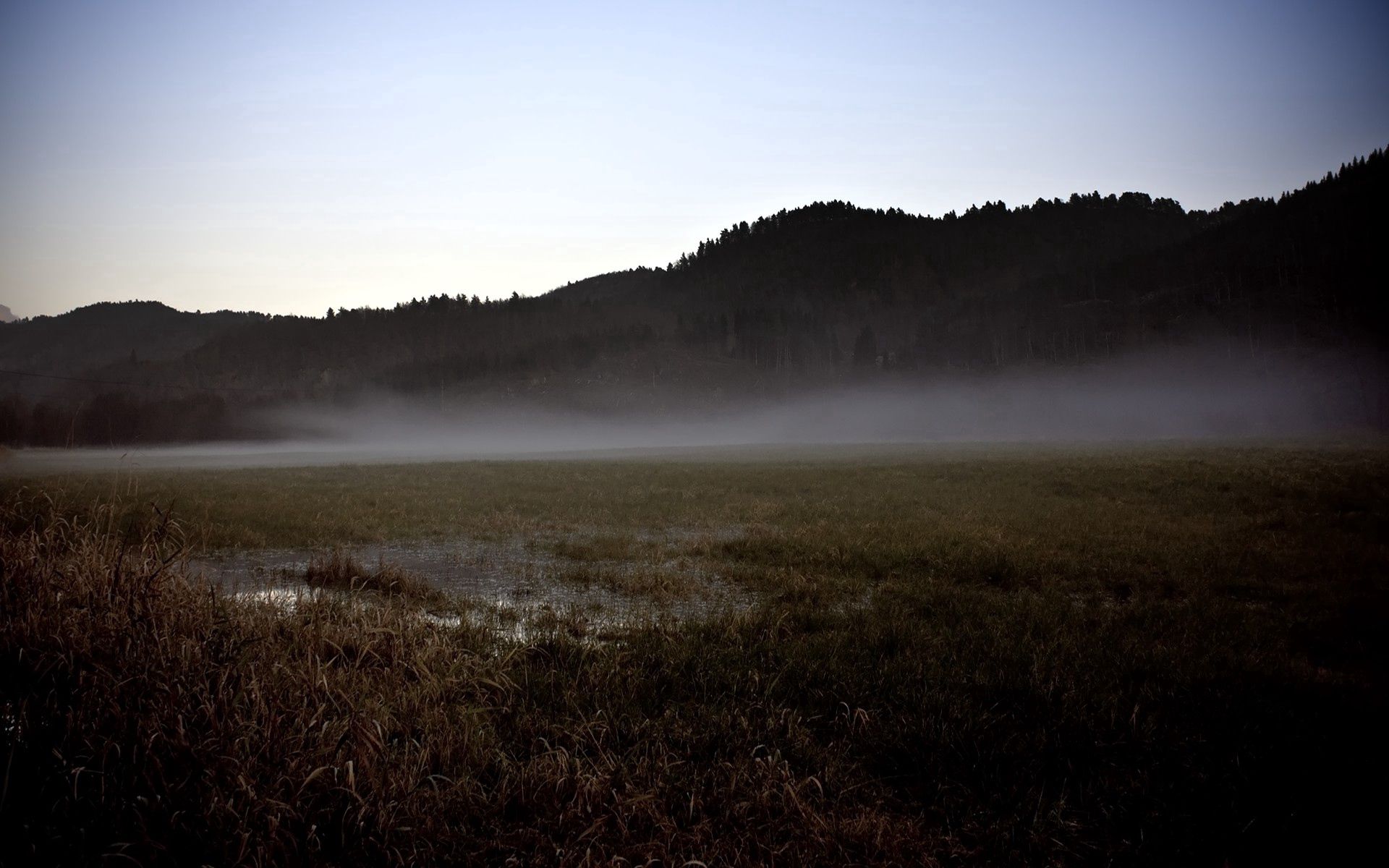 151069 Hintergrundbild herunterladen natur, swamp, nebel, feld, grauheit - Bildschirmschoner und Bilder kostenlos