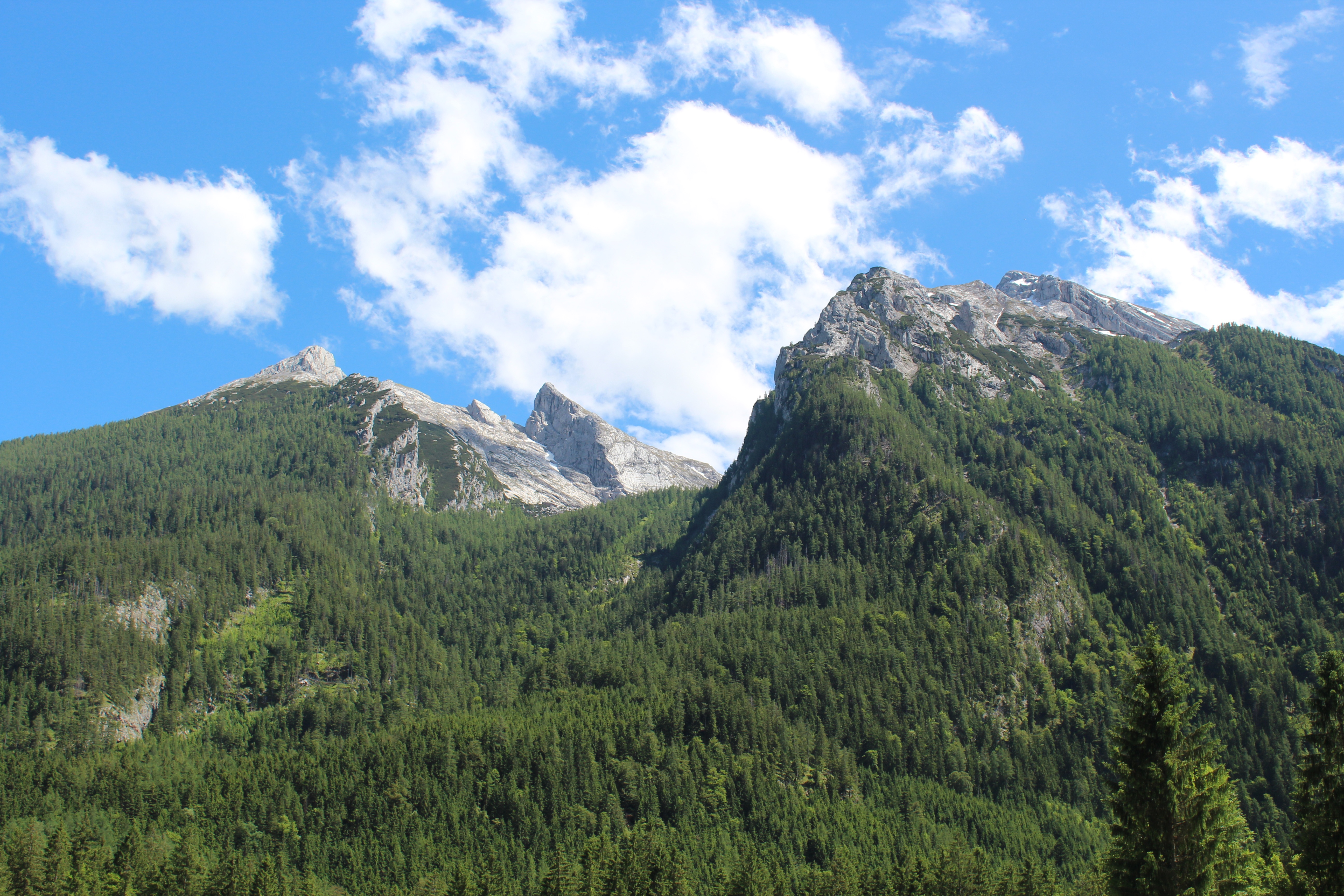 germany, nature, trees, mountains, hintersee, hinterese, berchtesgaden Desktop home screen Wallpaper