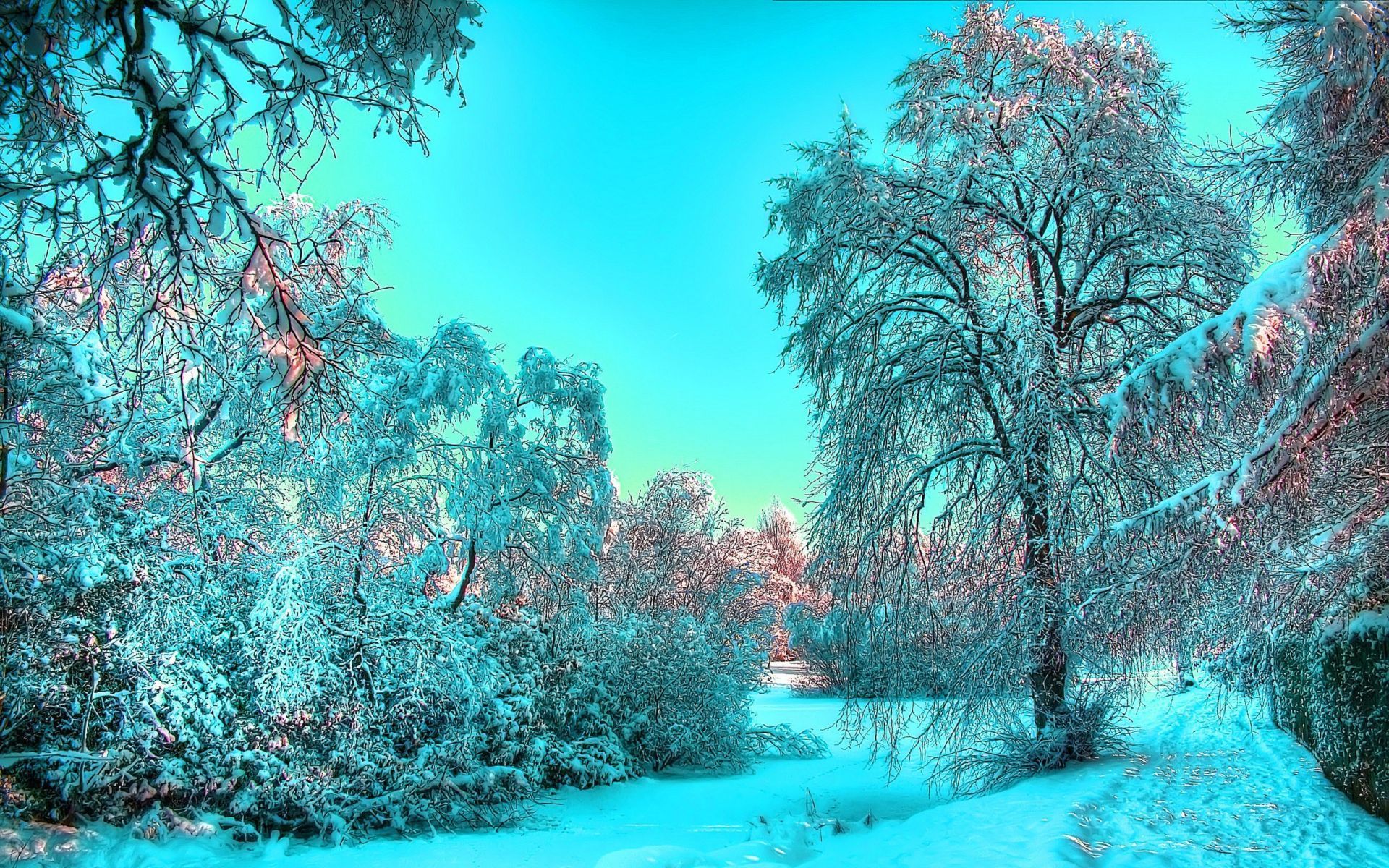 Handy-Wallpaper Landschaft, Winter, Bäume, Schnee kostenlos herunterladen.