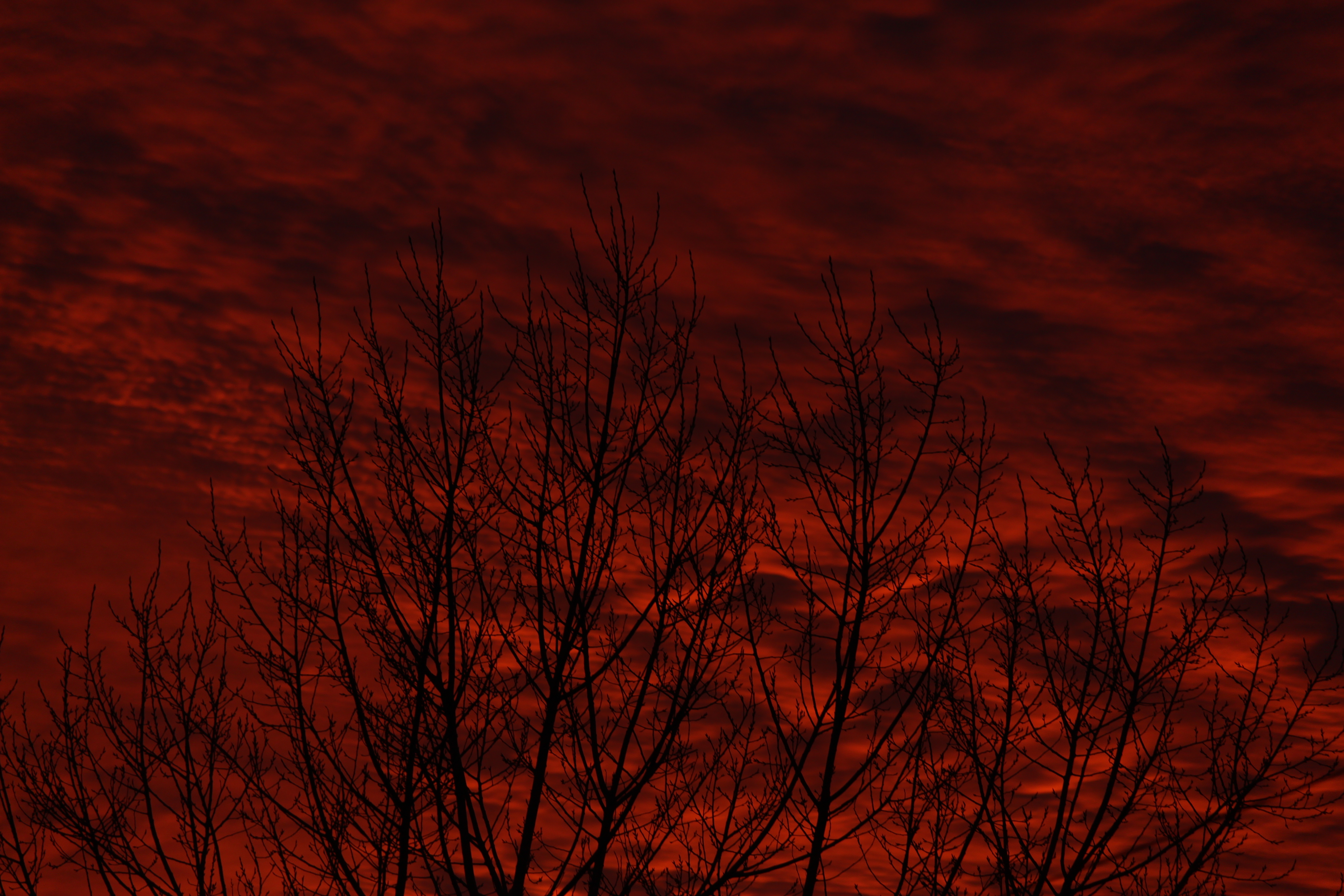 Темно красное небо
