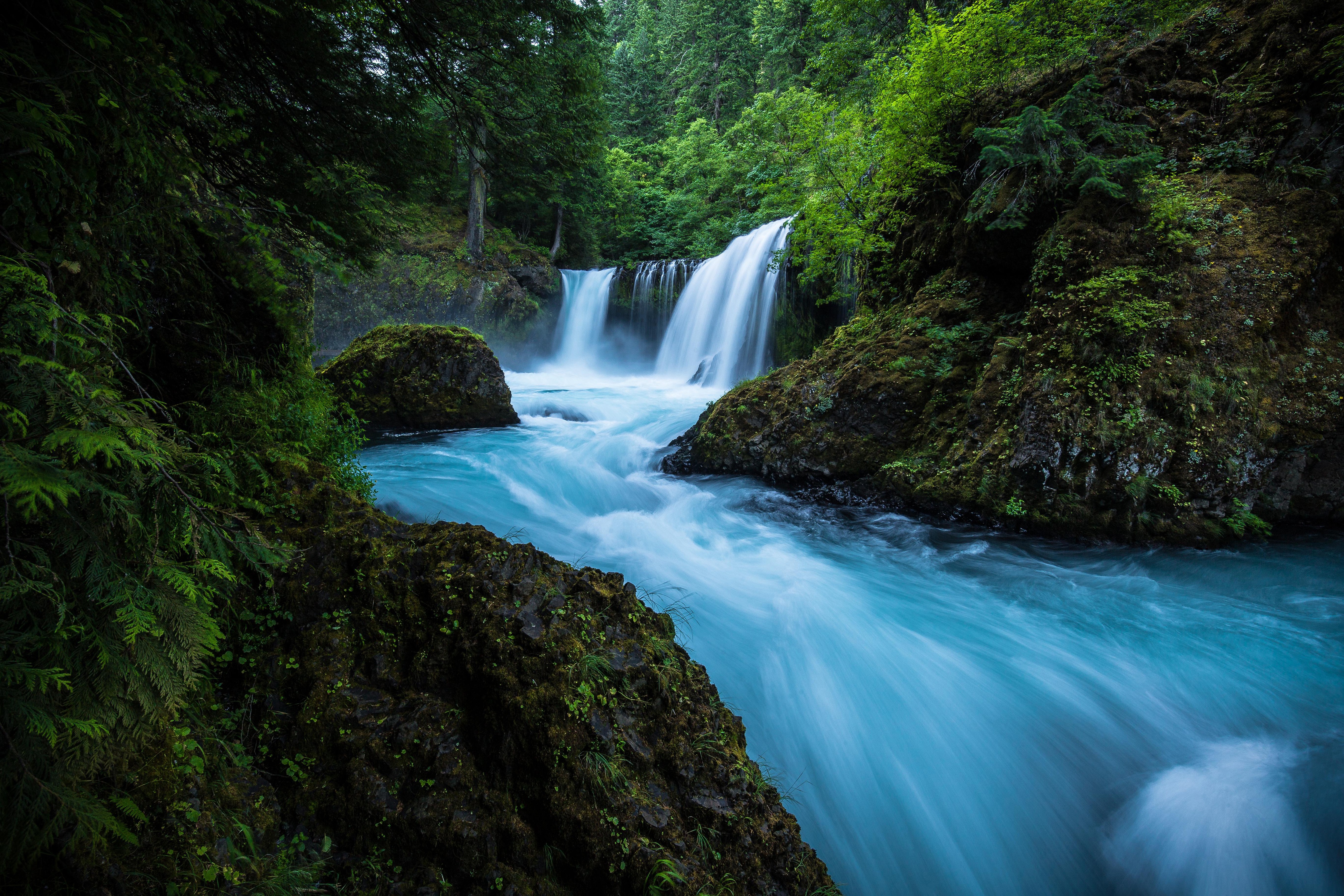 greenery, foam, earth, waterfall, nature, river, waterfalls wallpapers for tablet