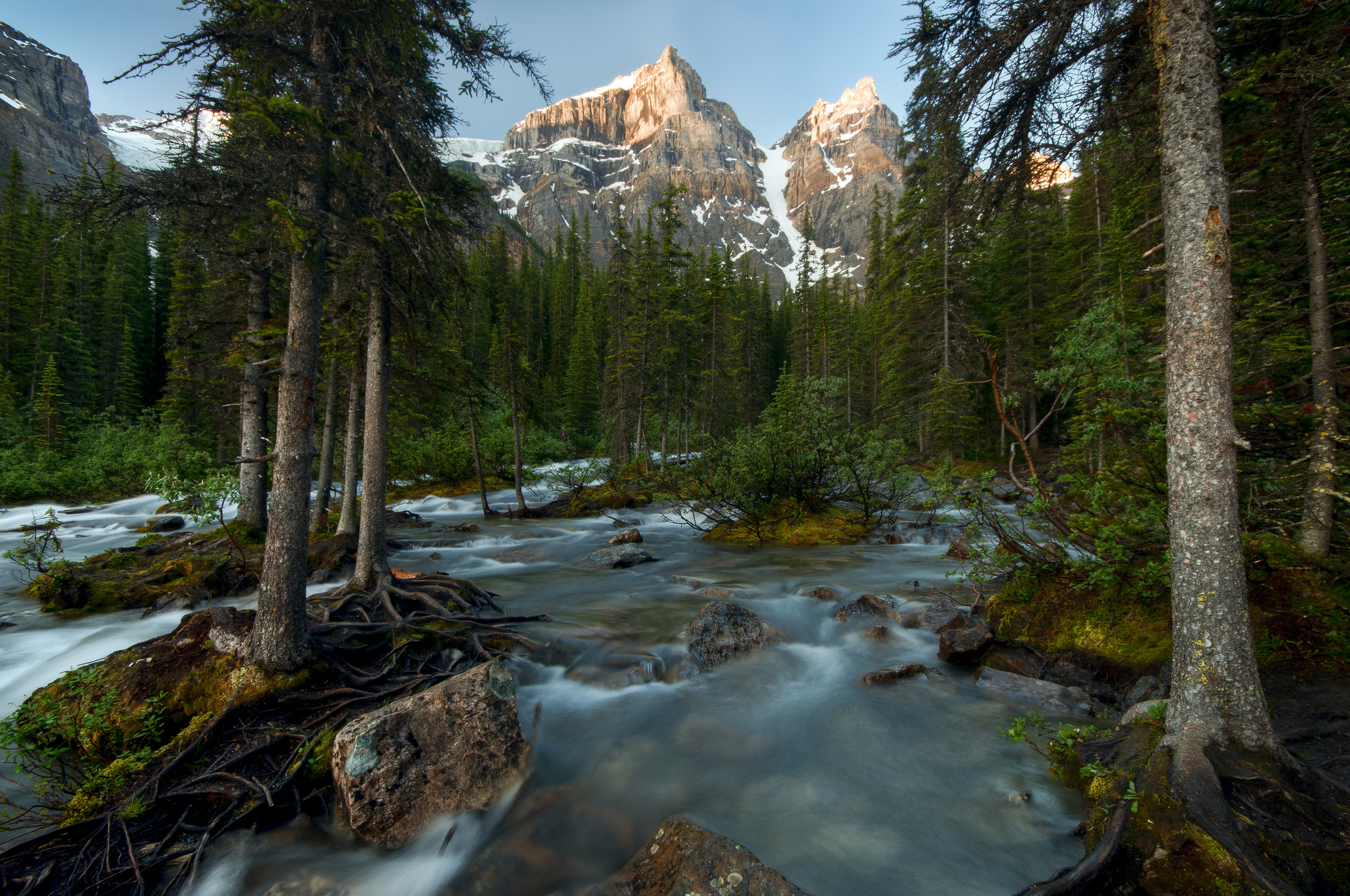 Скачать картинку Гора, Канада, Лес, Ручей, Национальный Парк Банф, Земля/природа в телефон бесплатно.