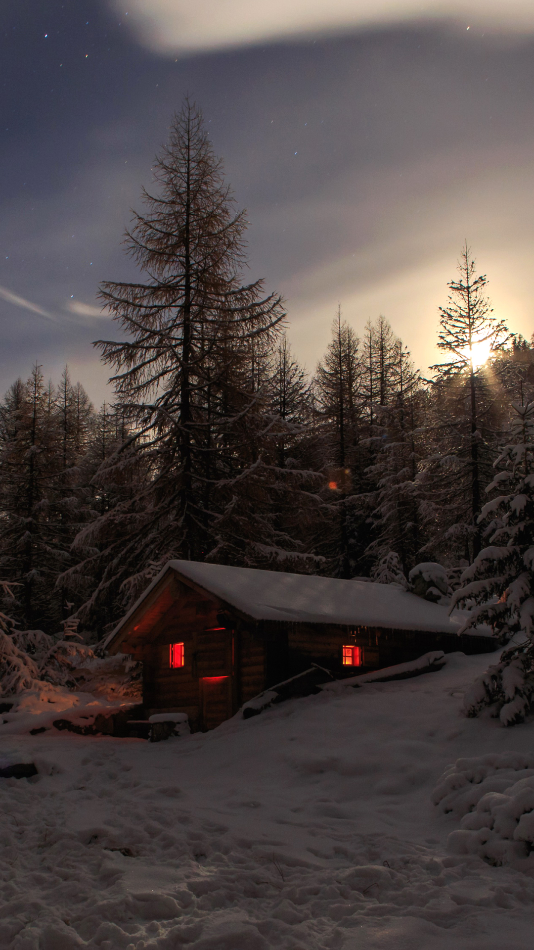 無料モバイル壁紙冬, 木, 雪, 光, 夜, 写真撮影, キャビンをダウンロードします。