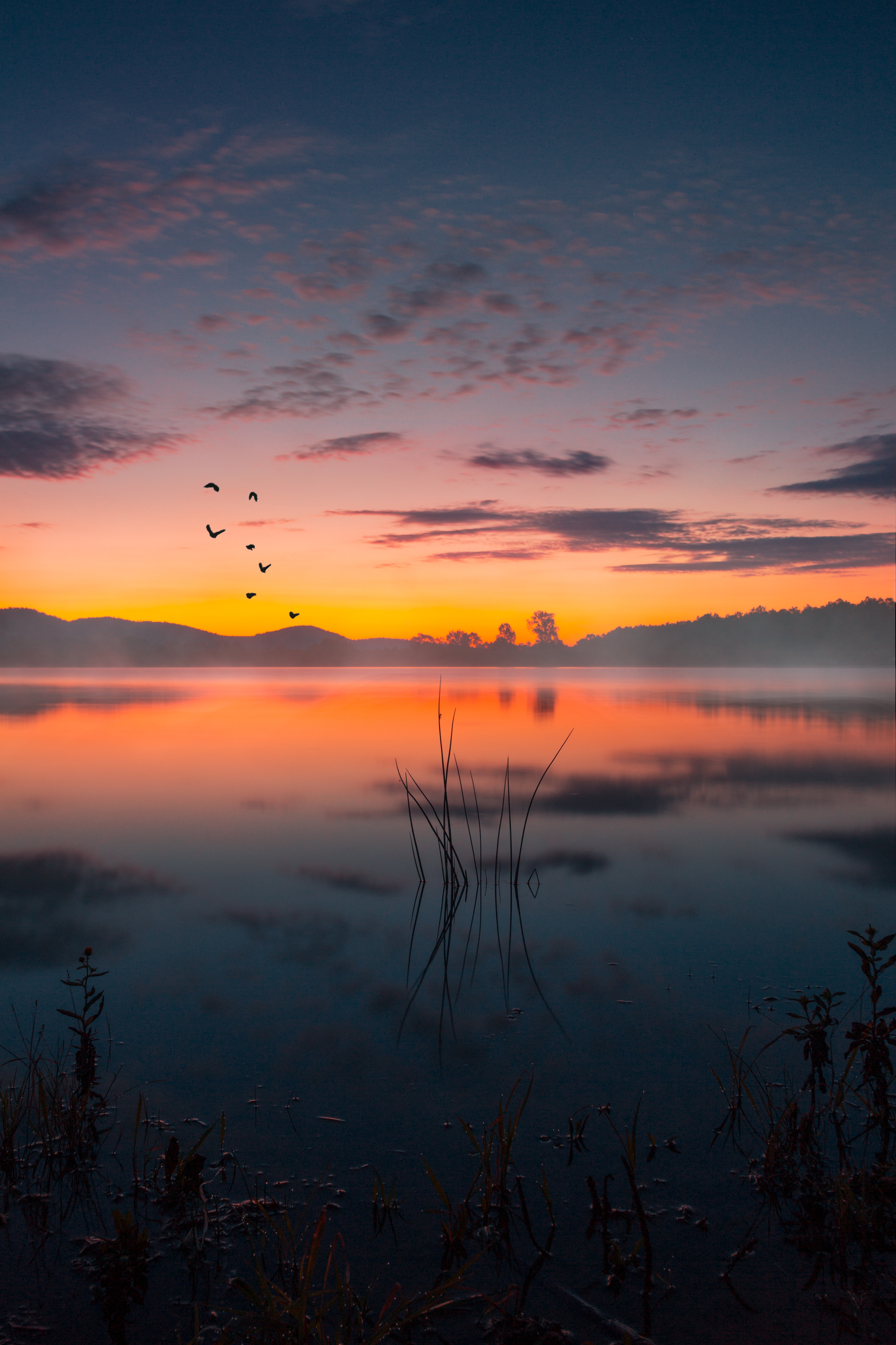 twilight, lake, landscape, nature, sunset, fog, dusk