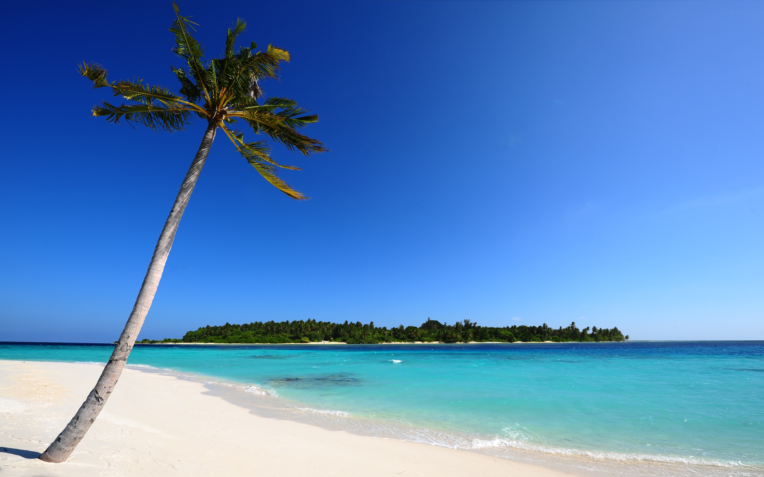 165312 baixar papel de parede praia, areia, azul, céu, terra/natureza, ilha, maldivas, oceano, palmeira, tropical - protetores de tela e imagens gratuitamente