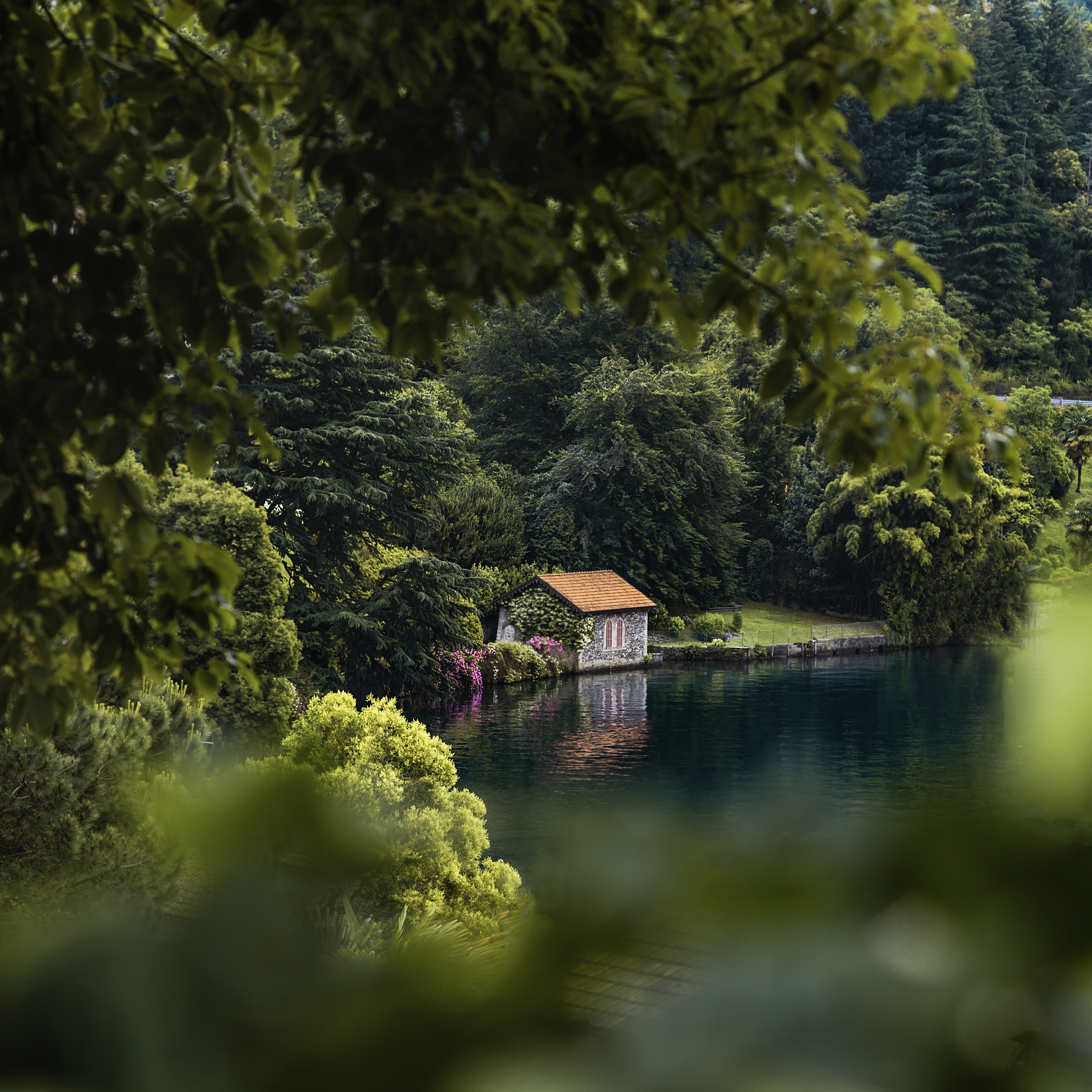 android nature, small house, lodge, comfort, trees, lake, coziness