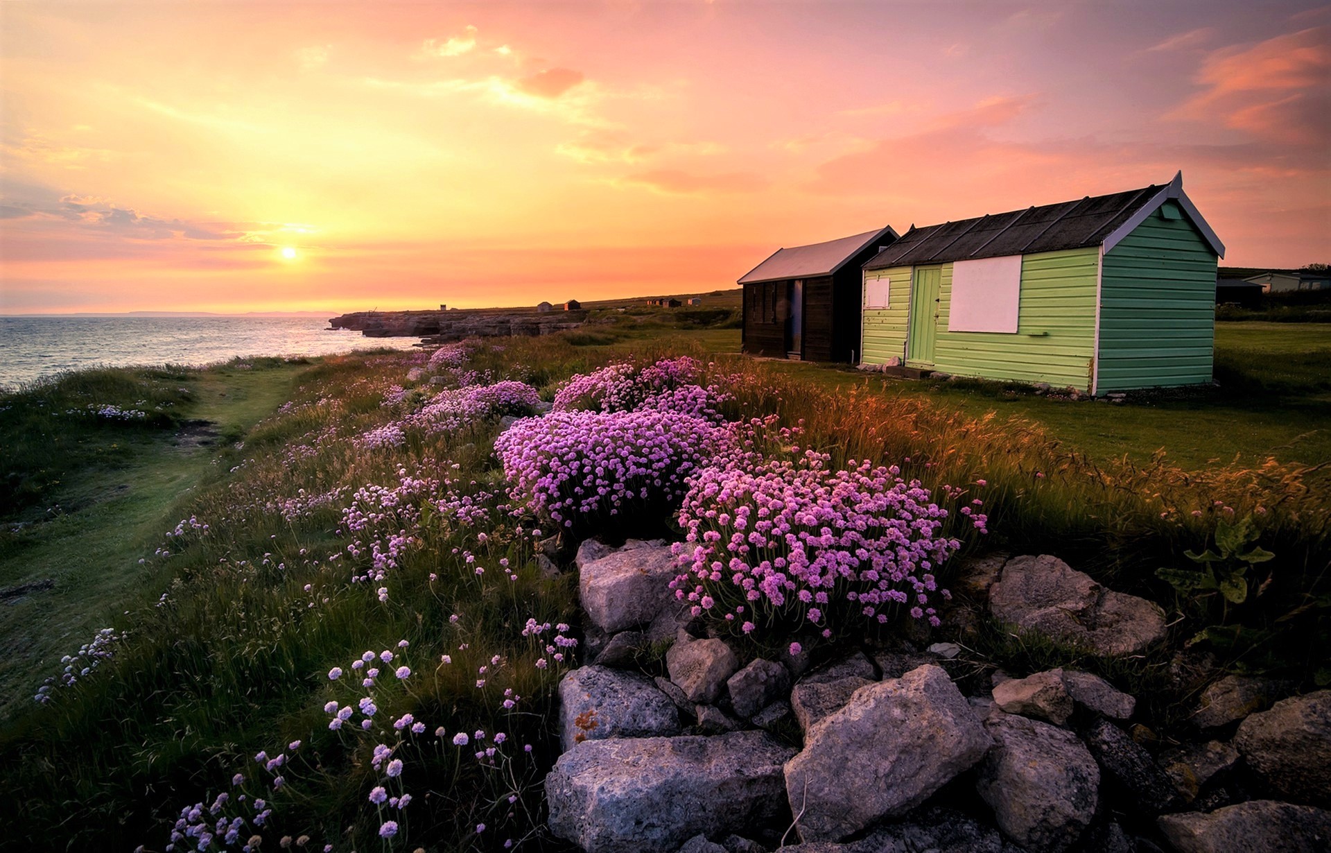 flower, lake, man made, shed, coast, purple flower, sunset