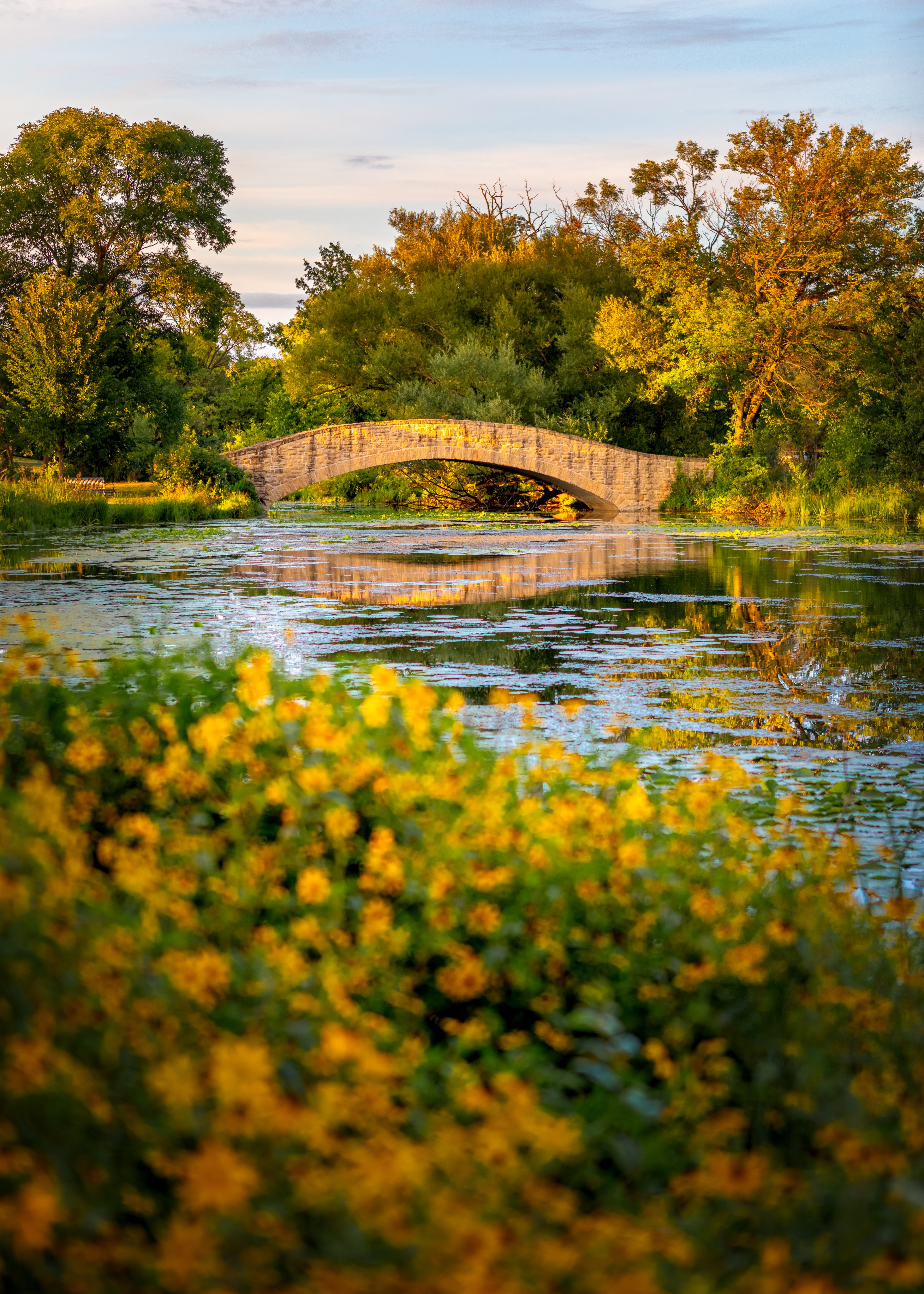Осень пруд мостик